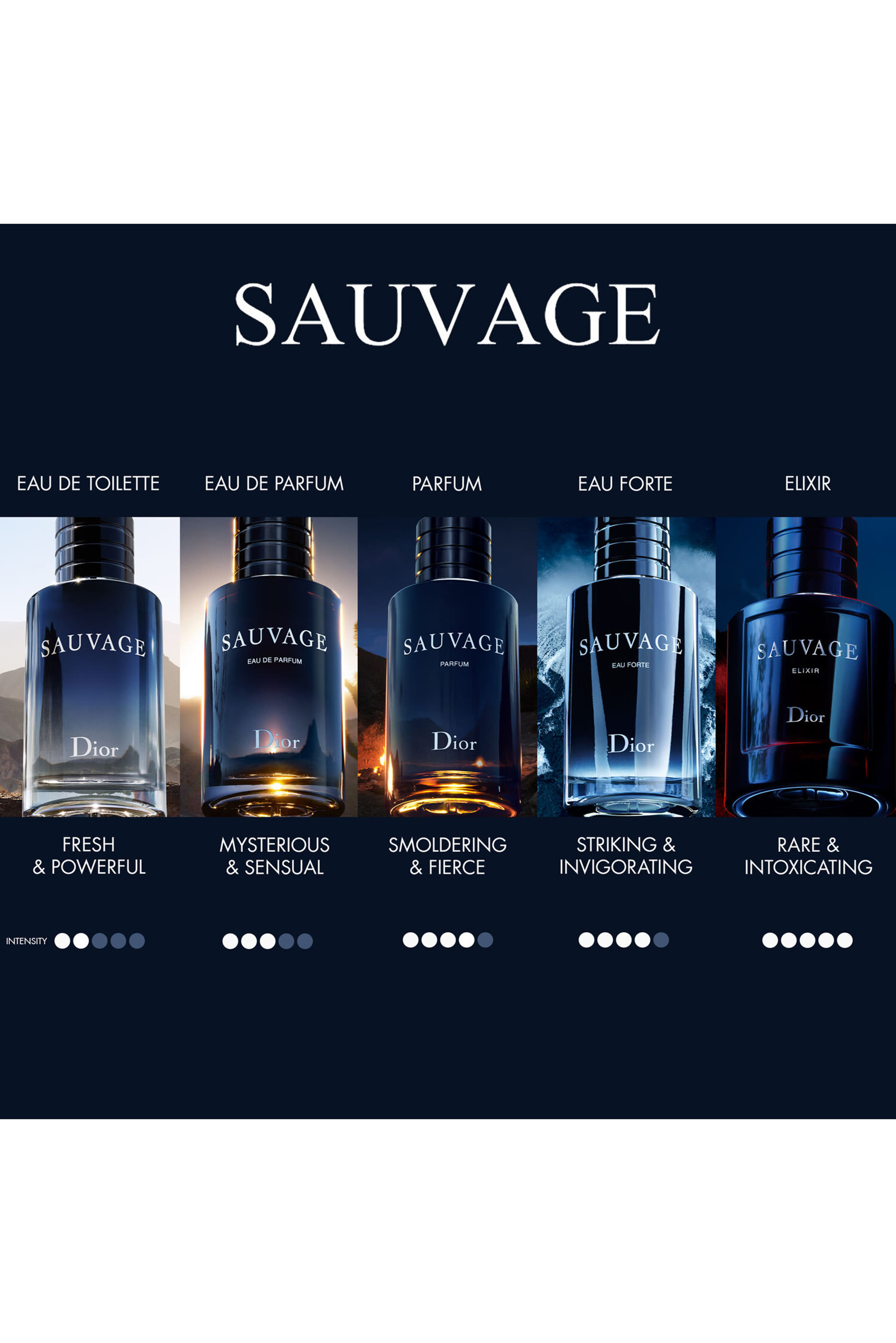 Sauvage Elixir Spray
