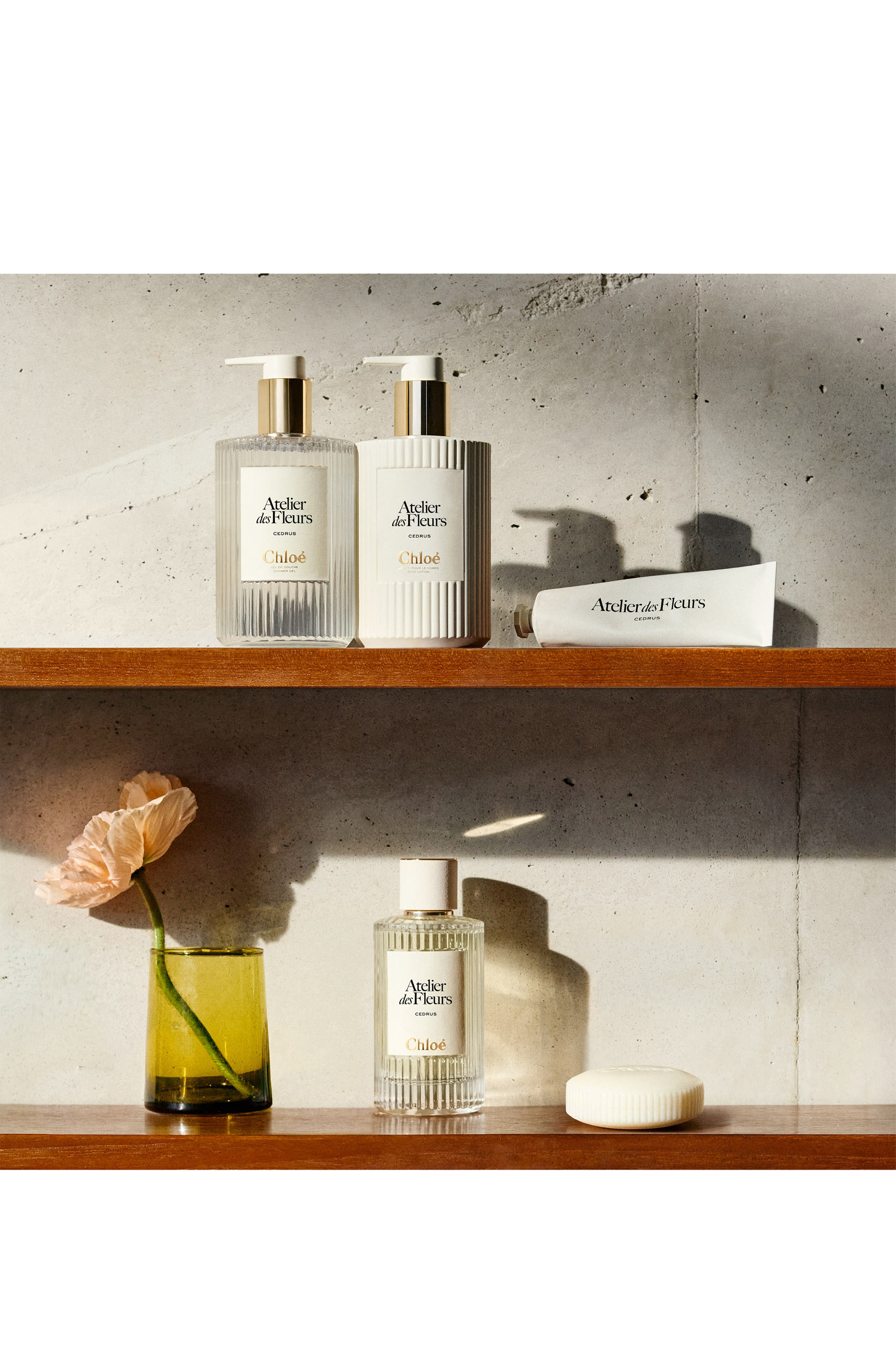 Atelier des Fleurs Cedrus Perfumed Body Lotion