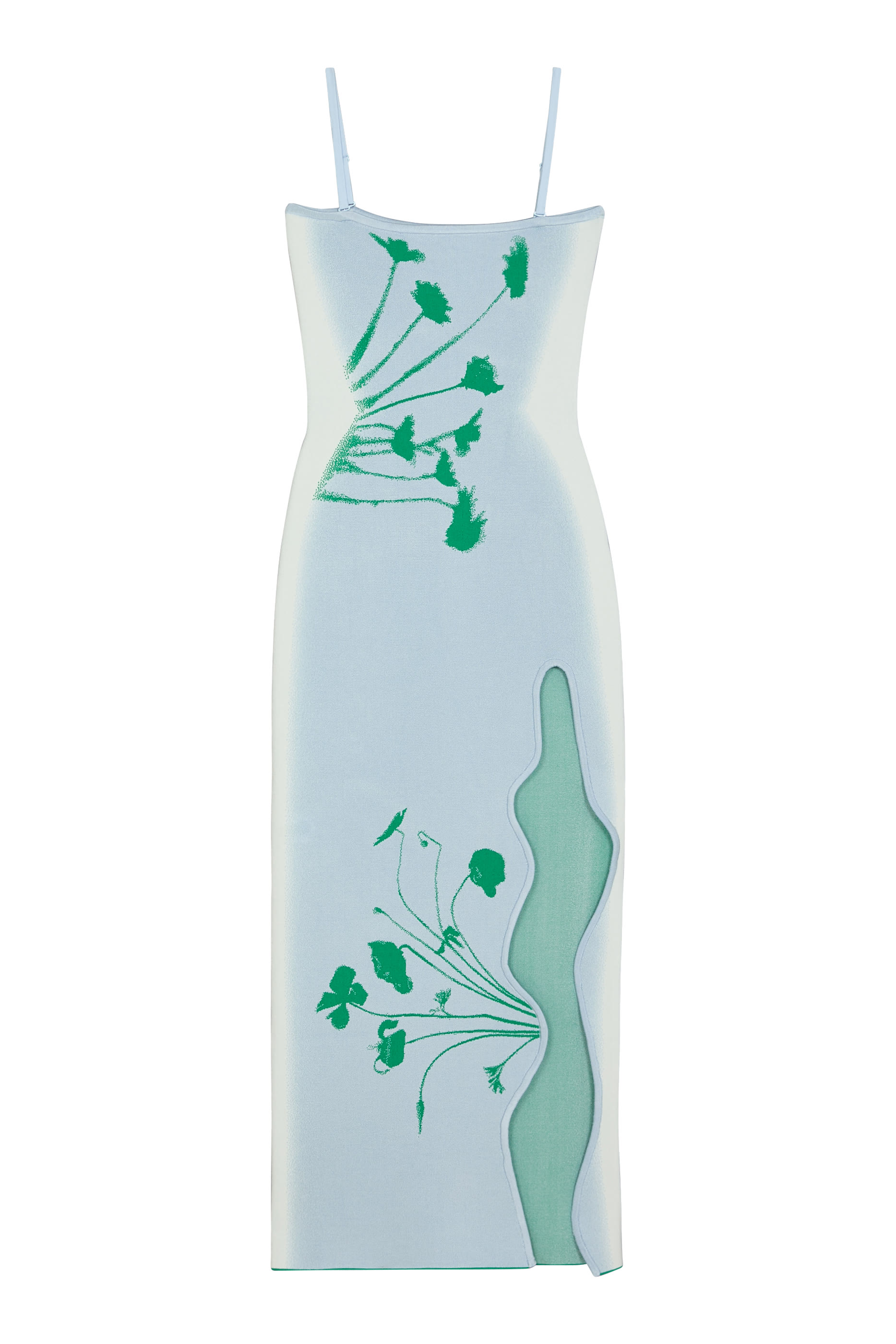 Iris Flower Print Maxi Tank Dress 