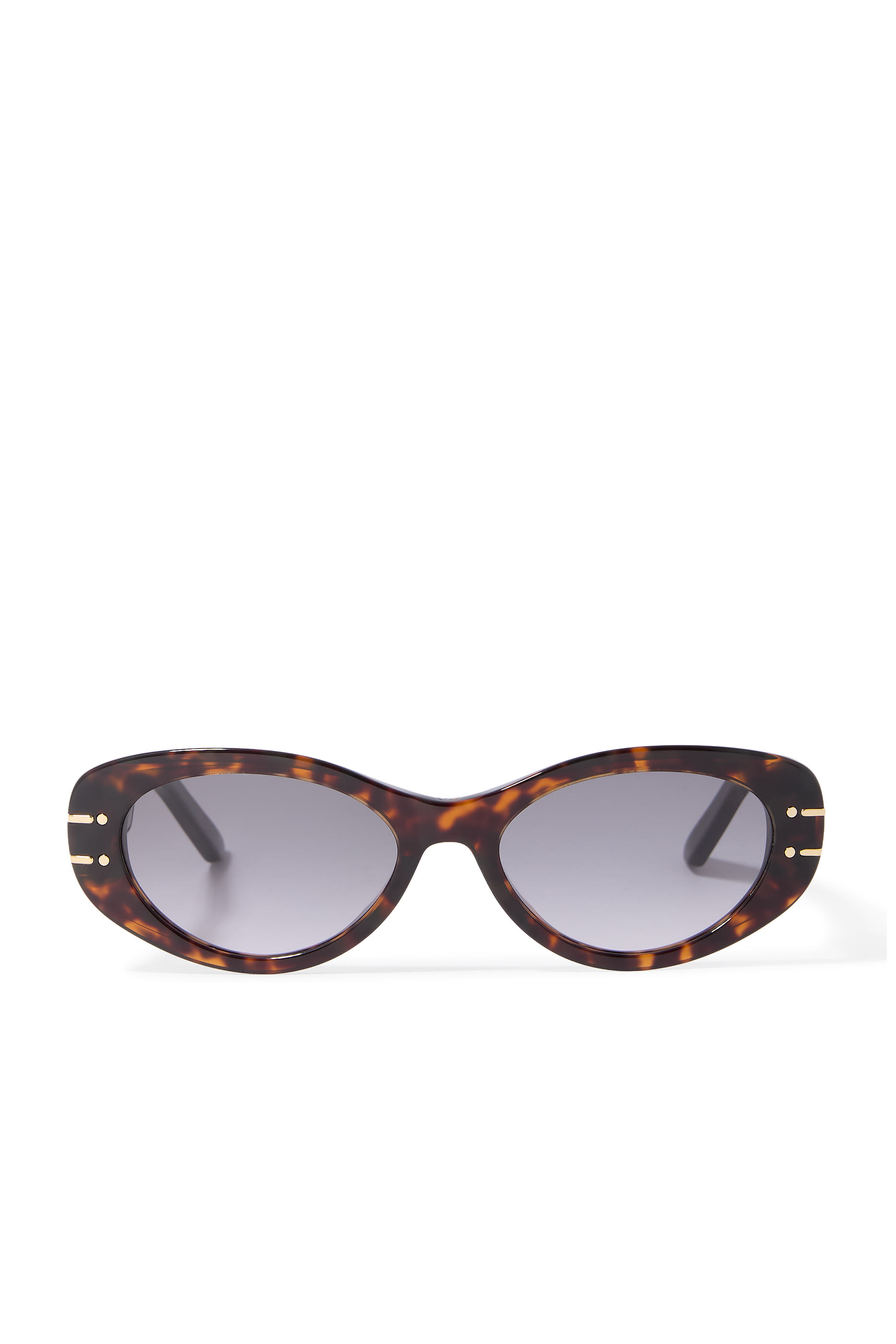 DiorSignature B8U Sunglasses 