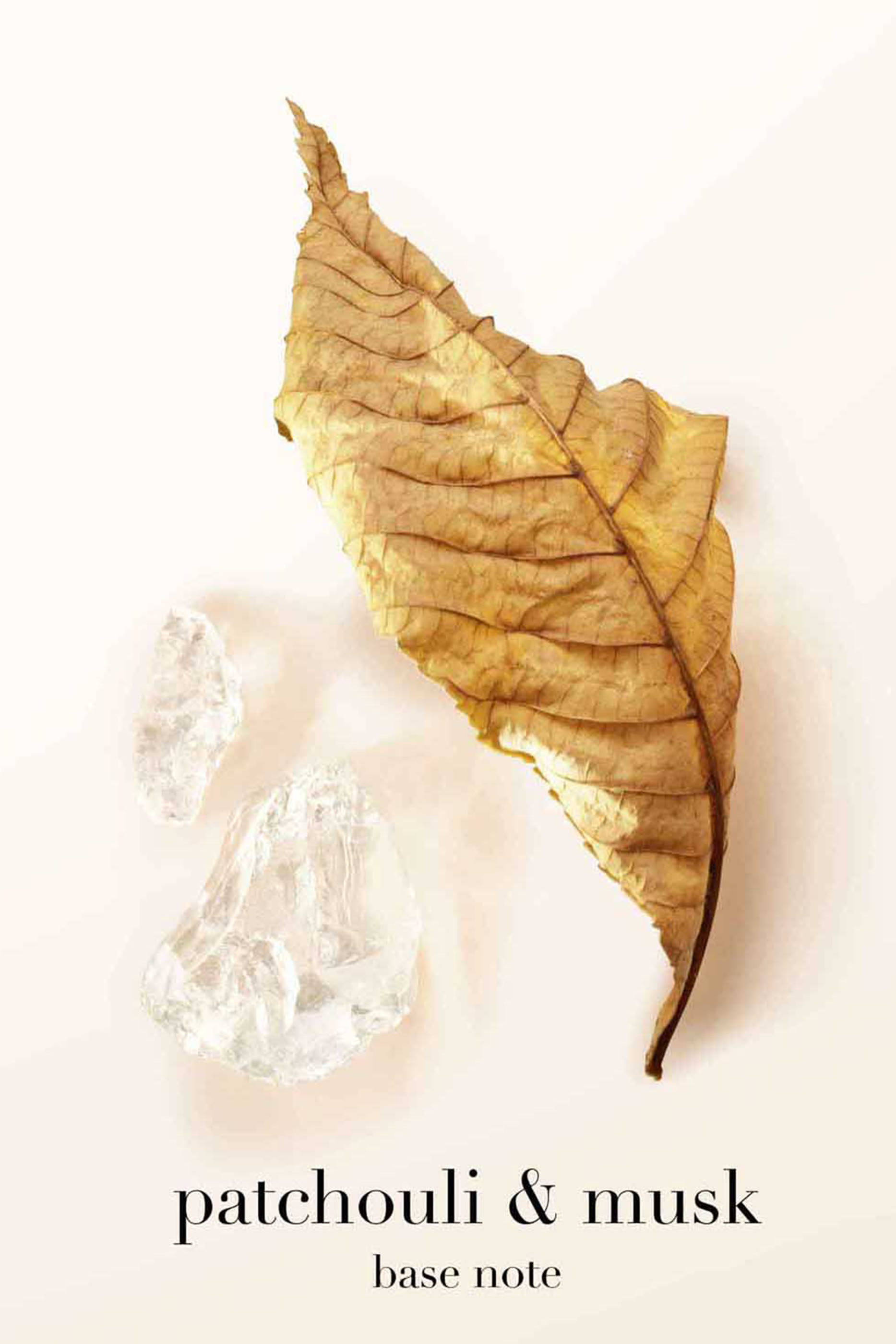 S&igrave; Eau de Parfum Refill Bottle