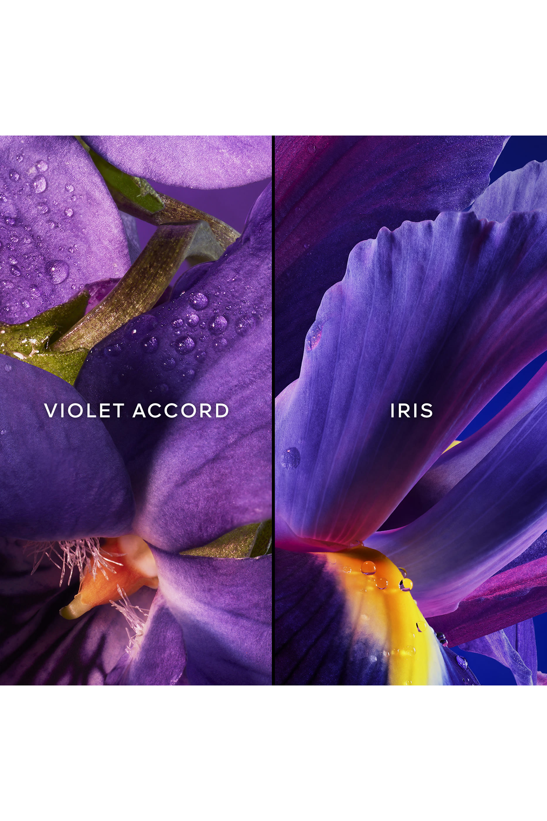 Insolence Eau de Parfum Gift Set