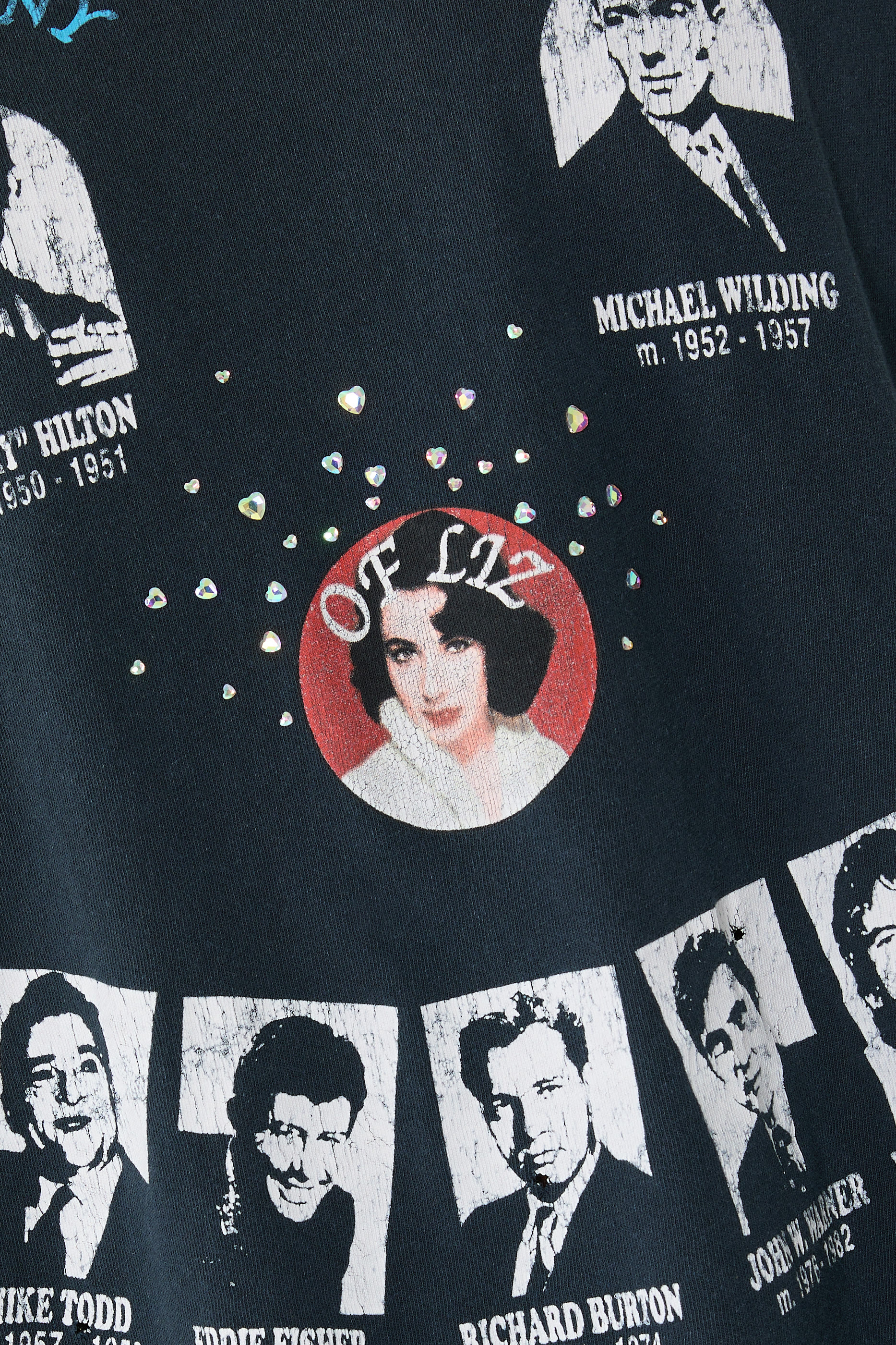  Loves of Liz T-Shirt 