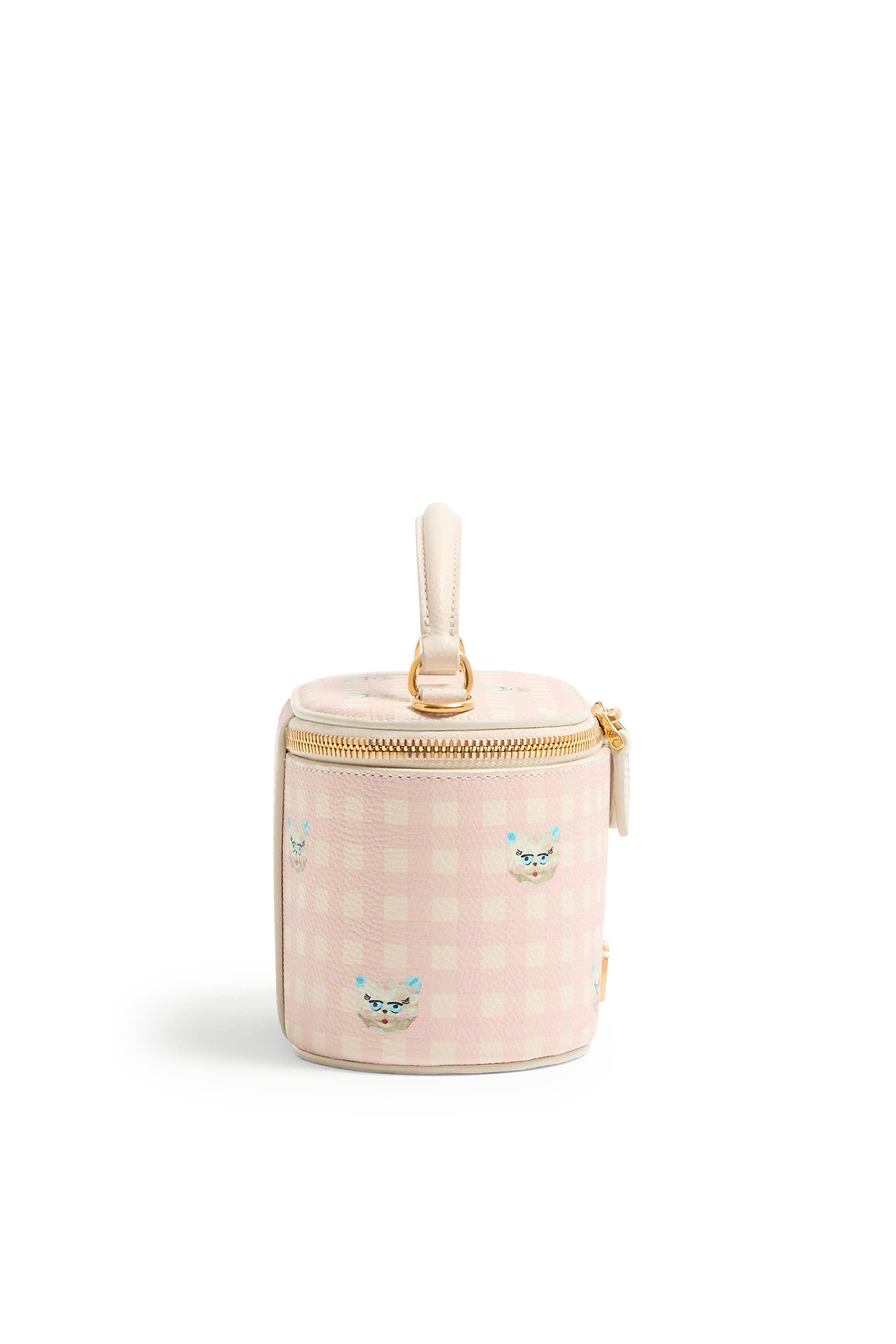 VLogo Signature Mini Vanity Bag