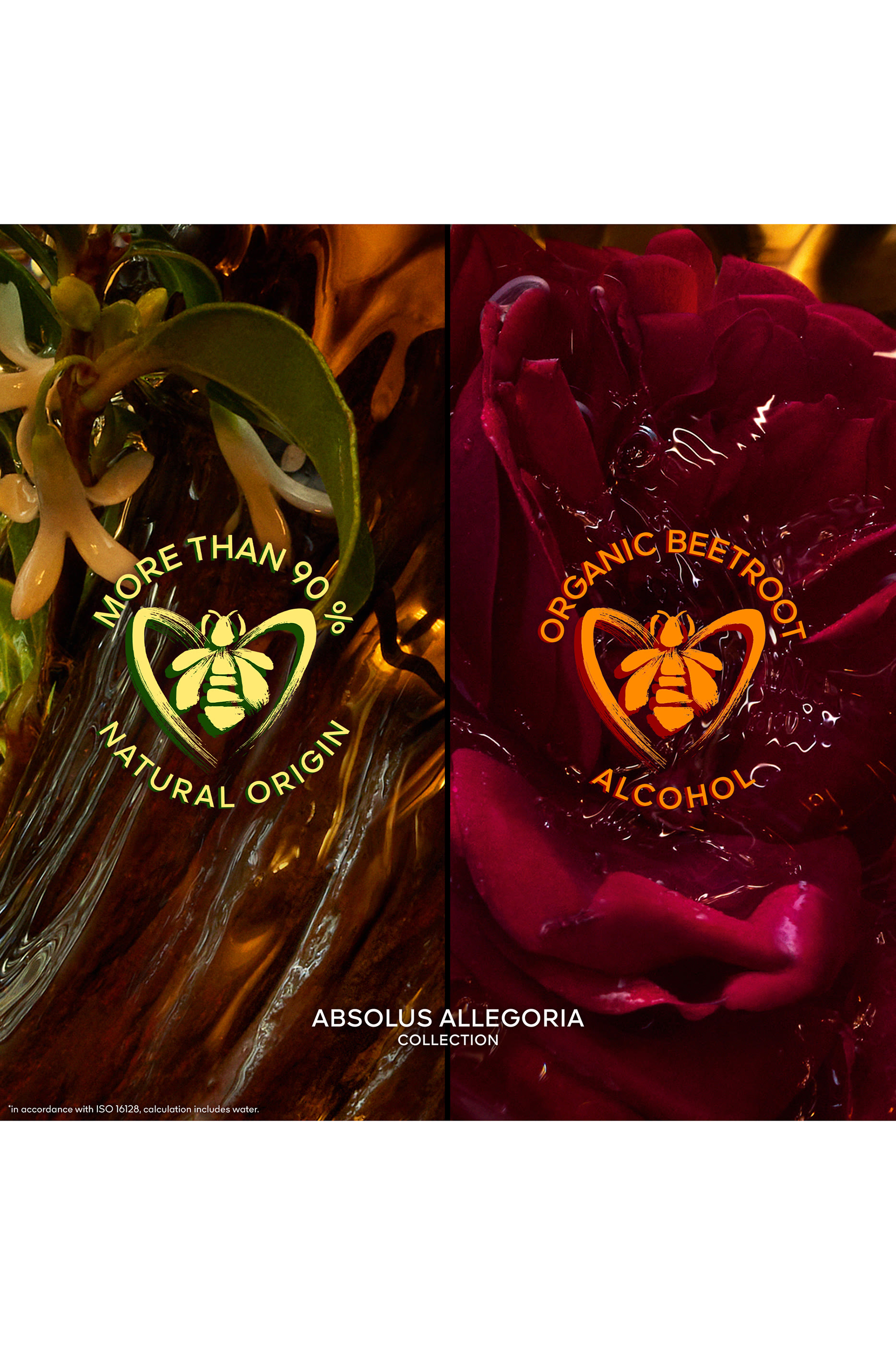 Absolus Allegoria Ambre Samar Eau de Parfum