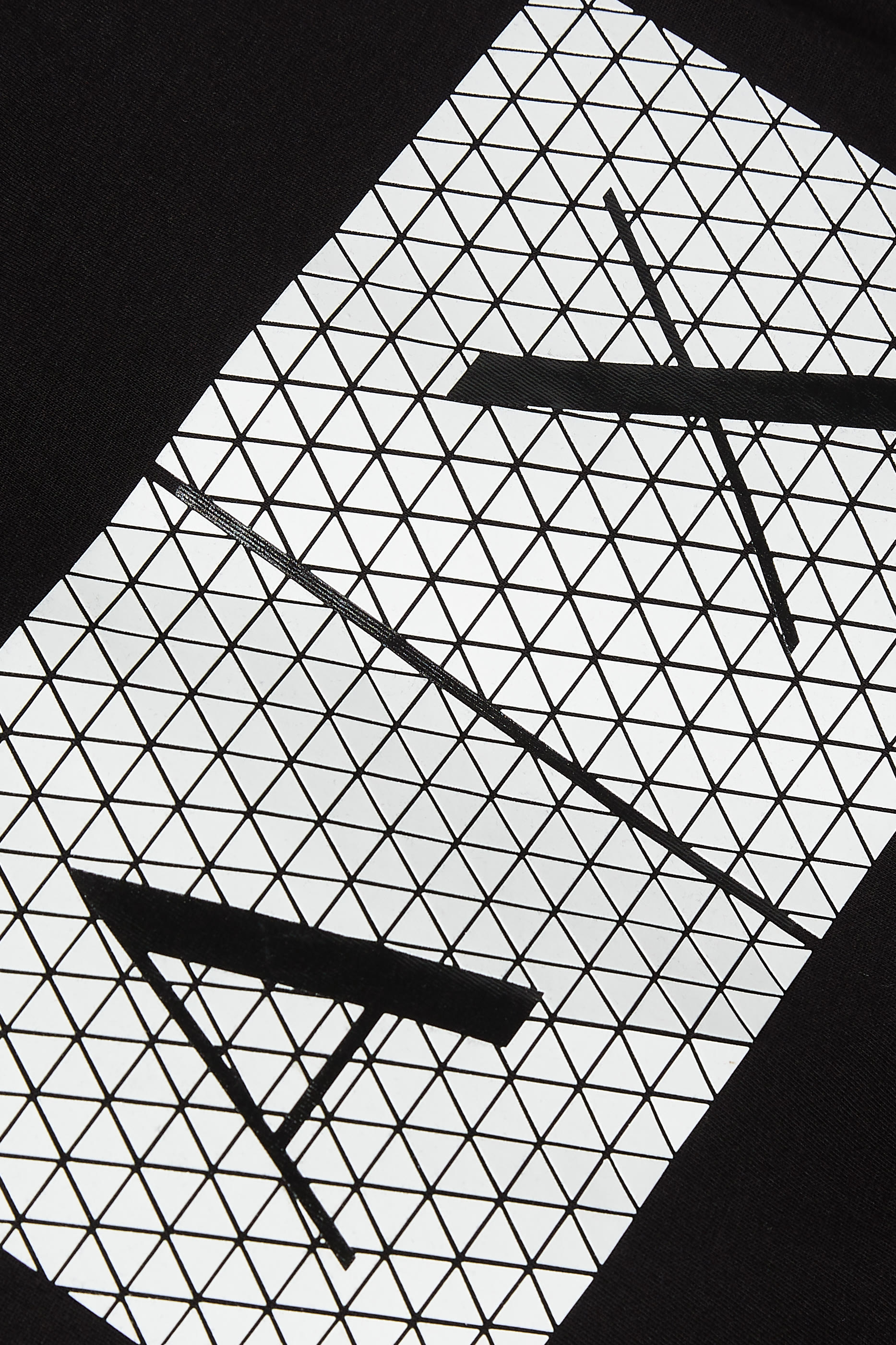 Triangulation Logo Print T-Shirt