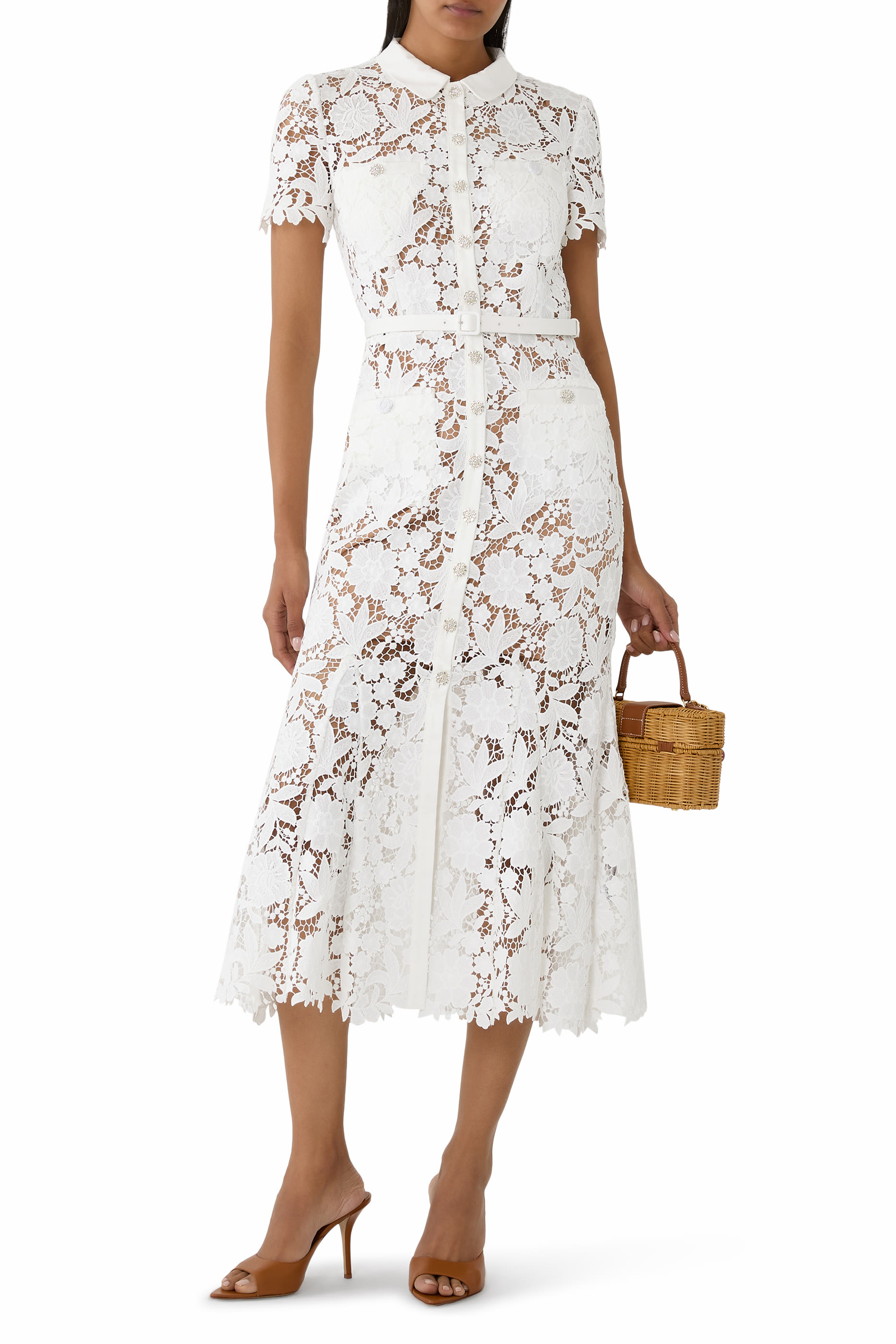 Lace Collared Midi Dress