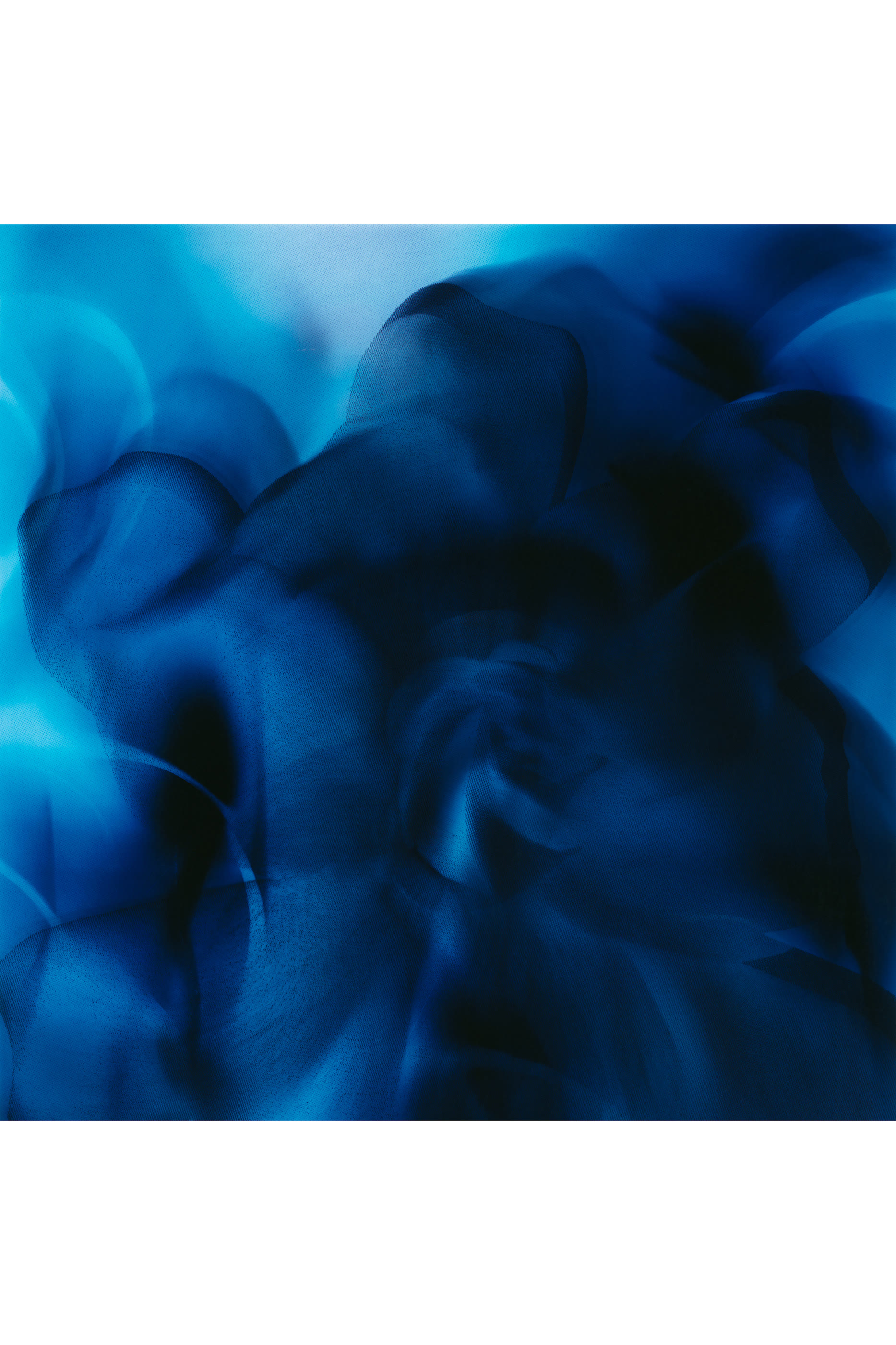 Casablanca Lily Extrait de Parfum