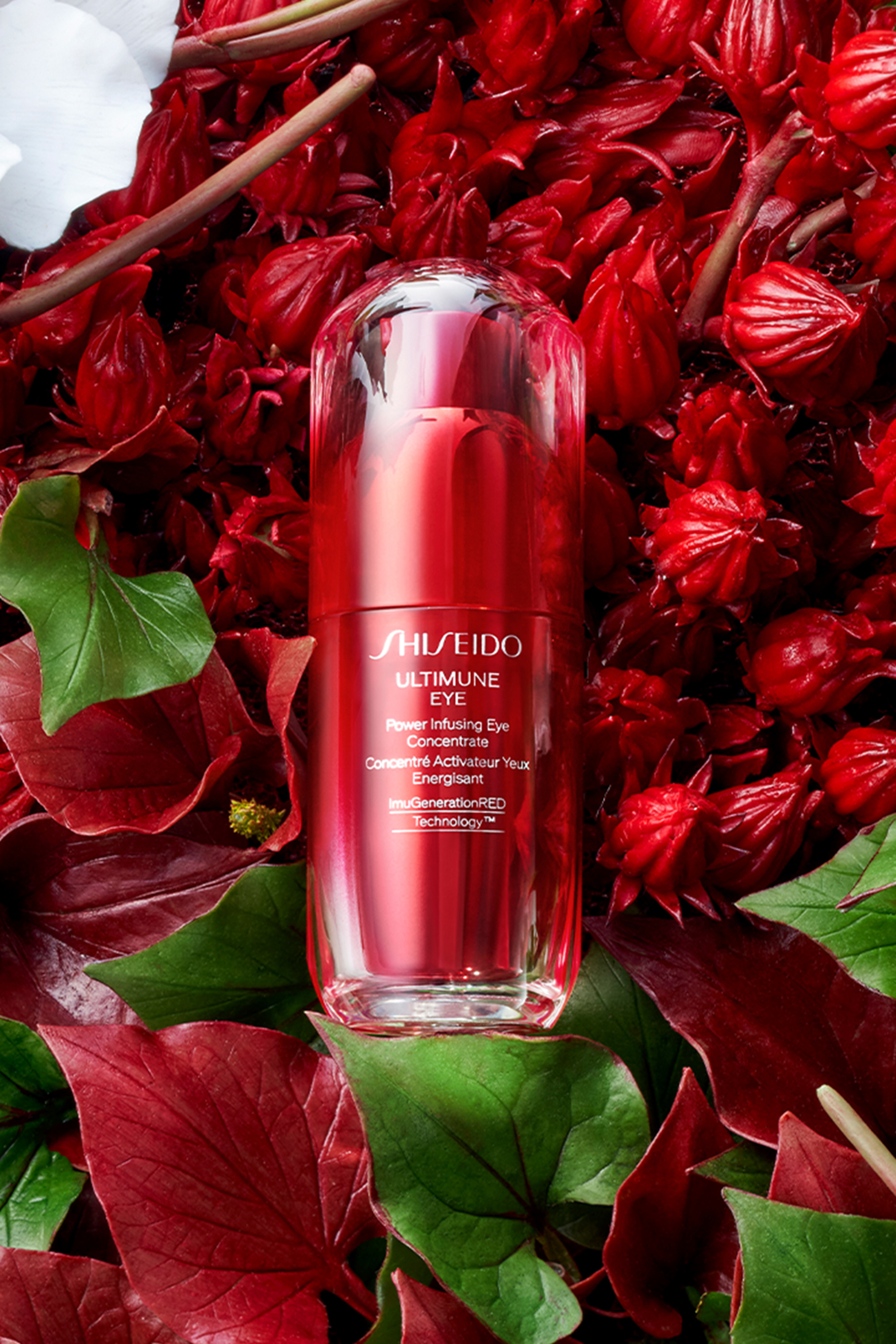 Ultimate Eye Concentrate