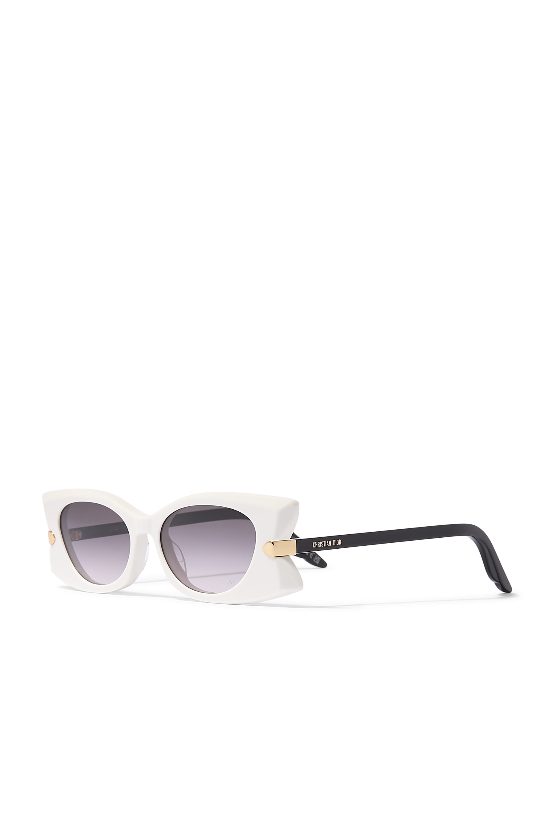 DiorButterfly S2I Transparent Rectangular Sunglasses