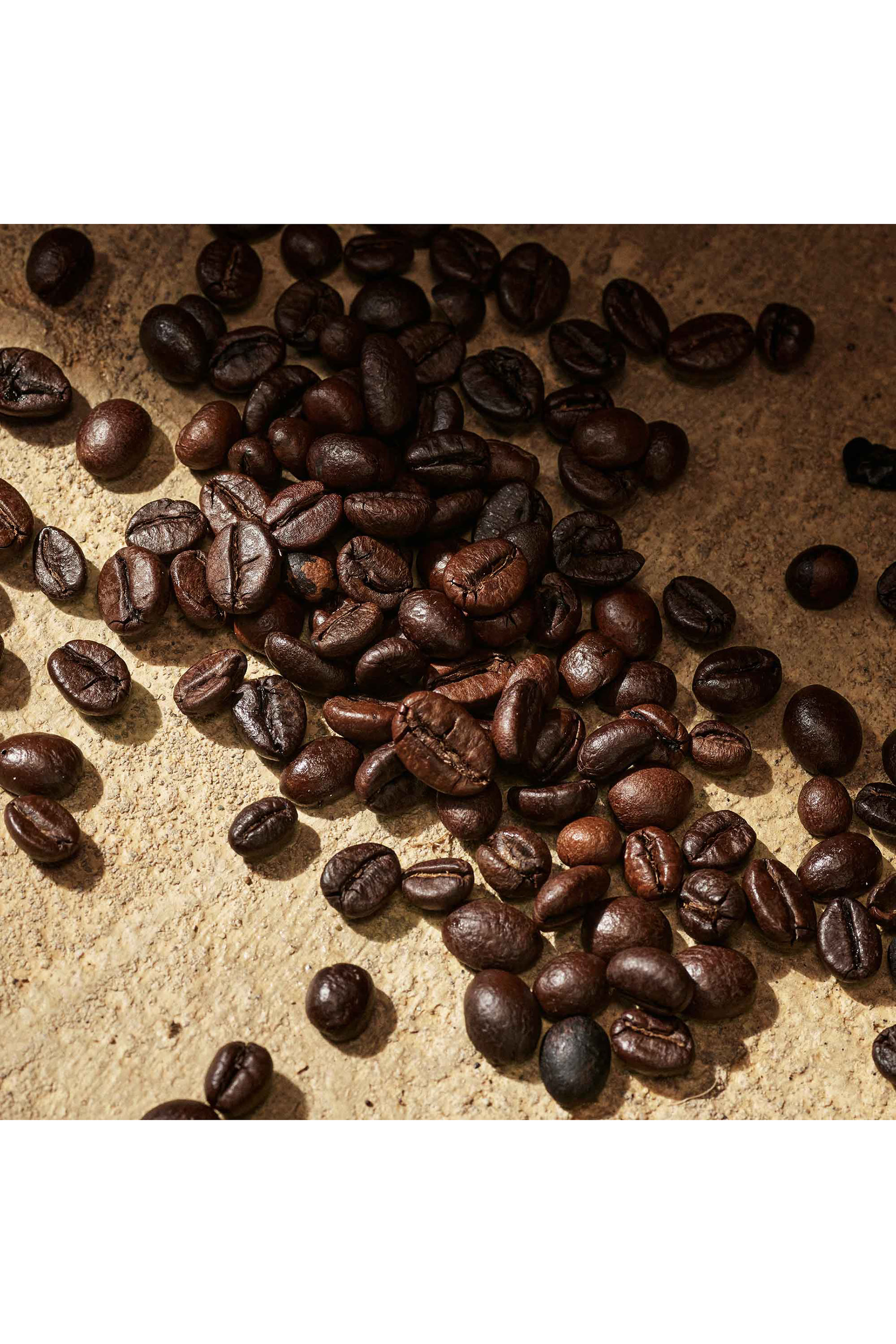 Devotion For Men Eau de Parfum