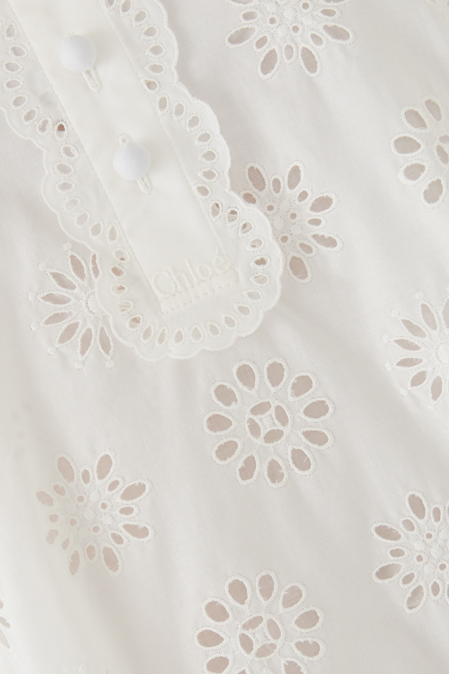 	 Long-Sleeve Mini Dress in Cotton Voile