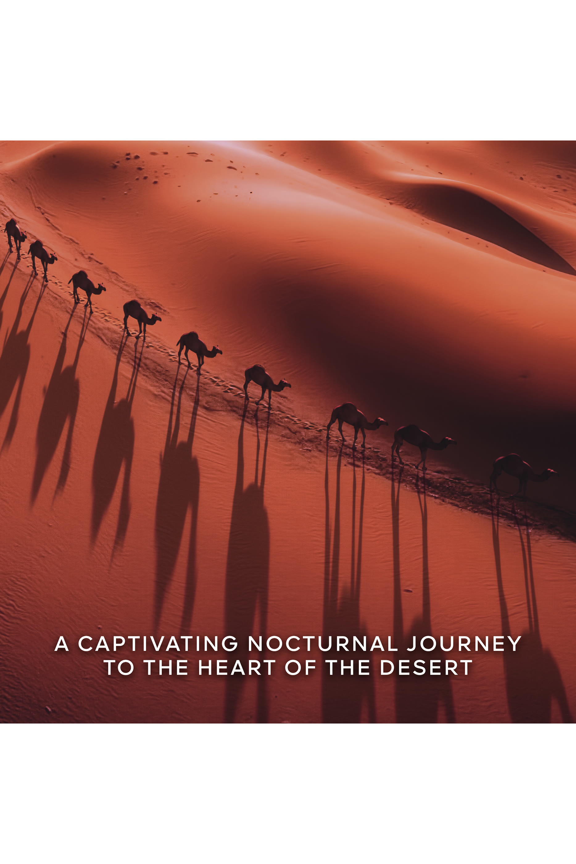 Absolus Allegoria Tabac Sahara Eau de Parfum