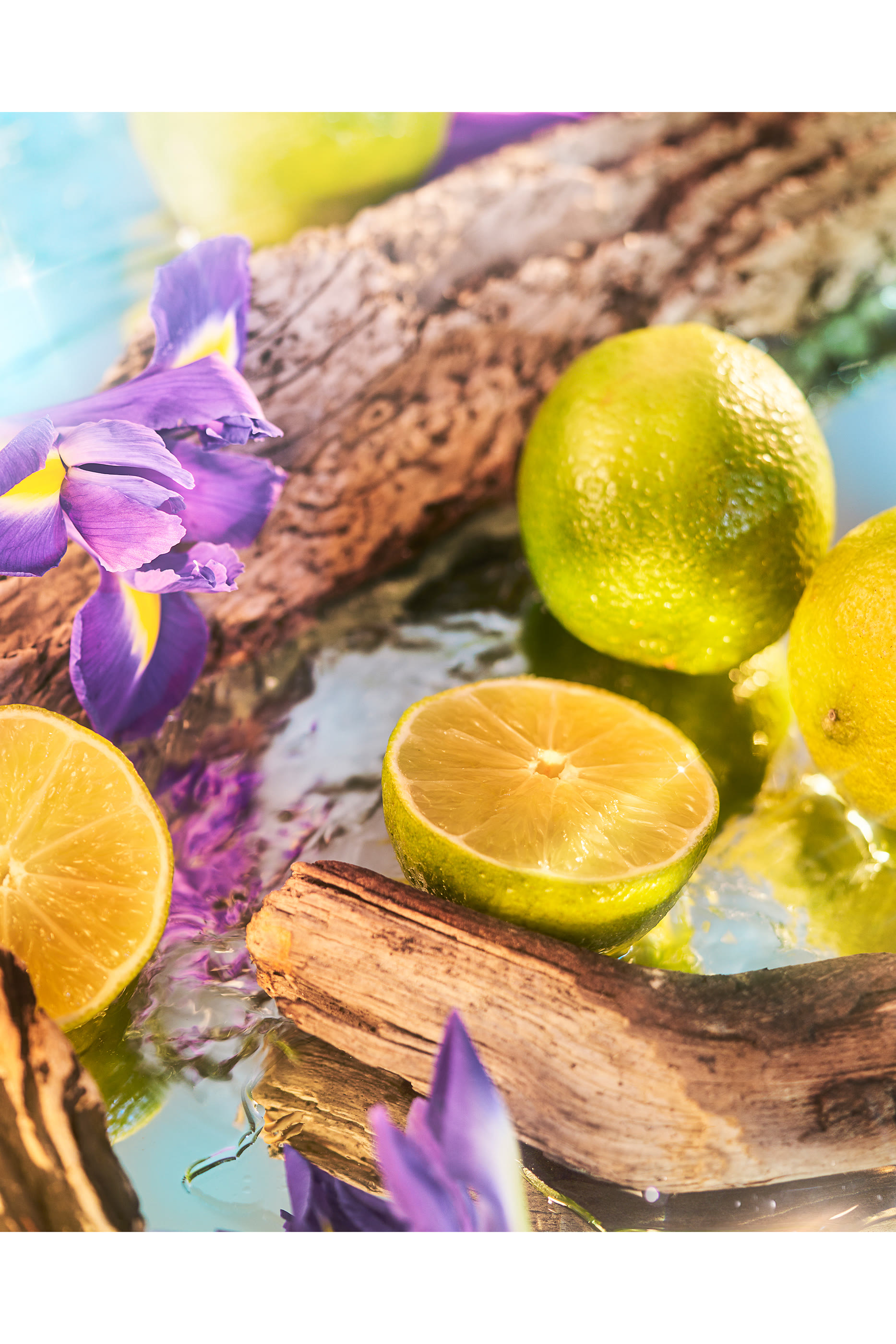 Oceania Eau de Parfum