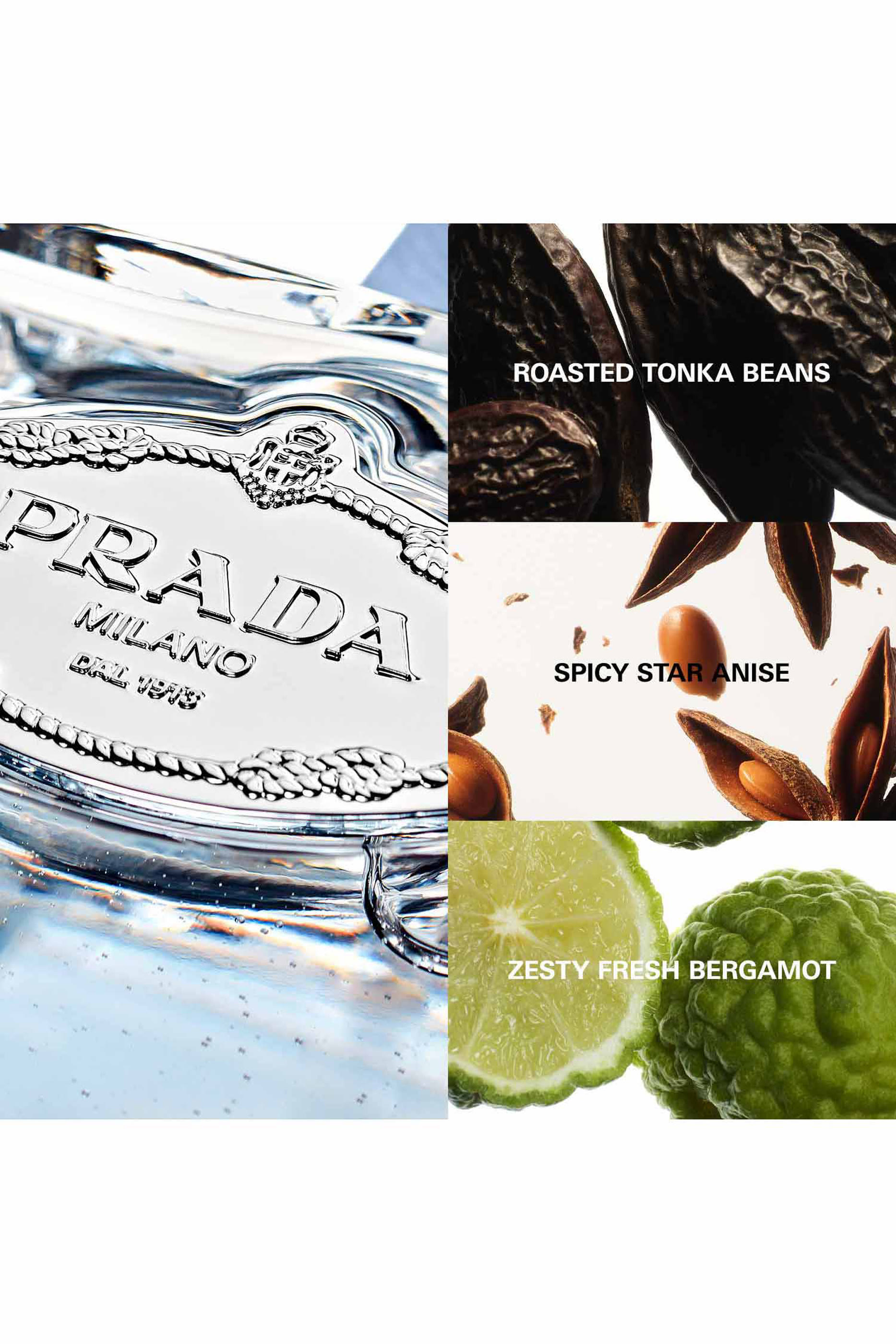 Les Infusions de Prada Amande Eau de Parfum
