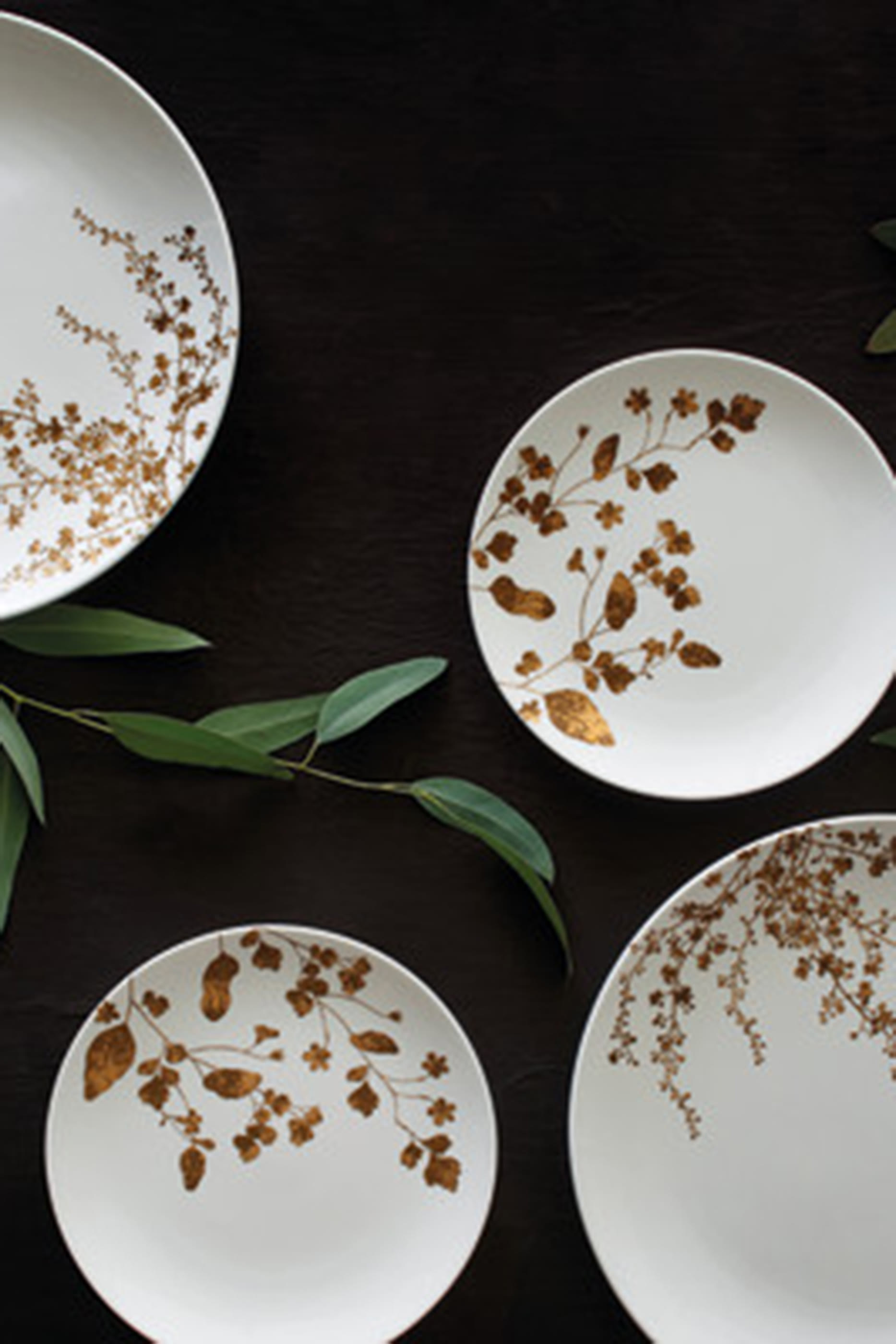 Jardin Rim 22 Soup Plate