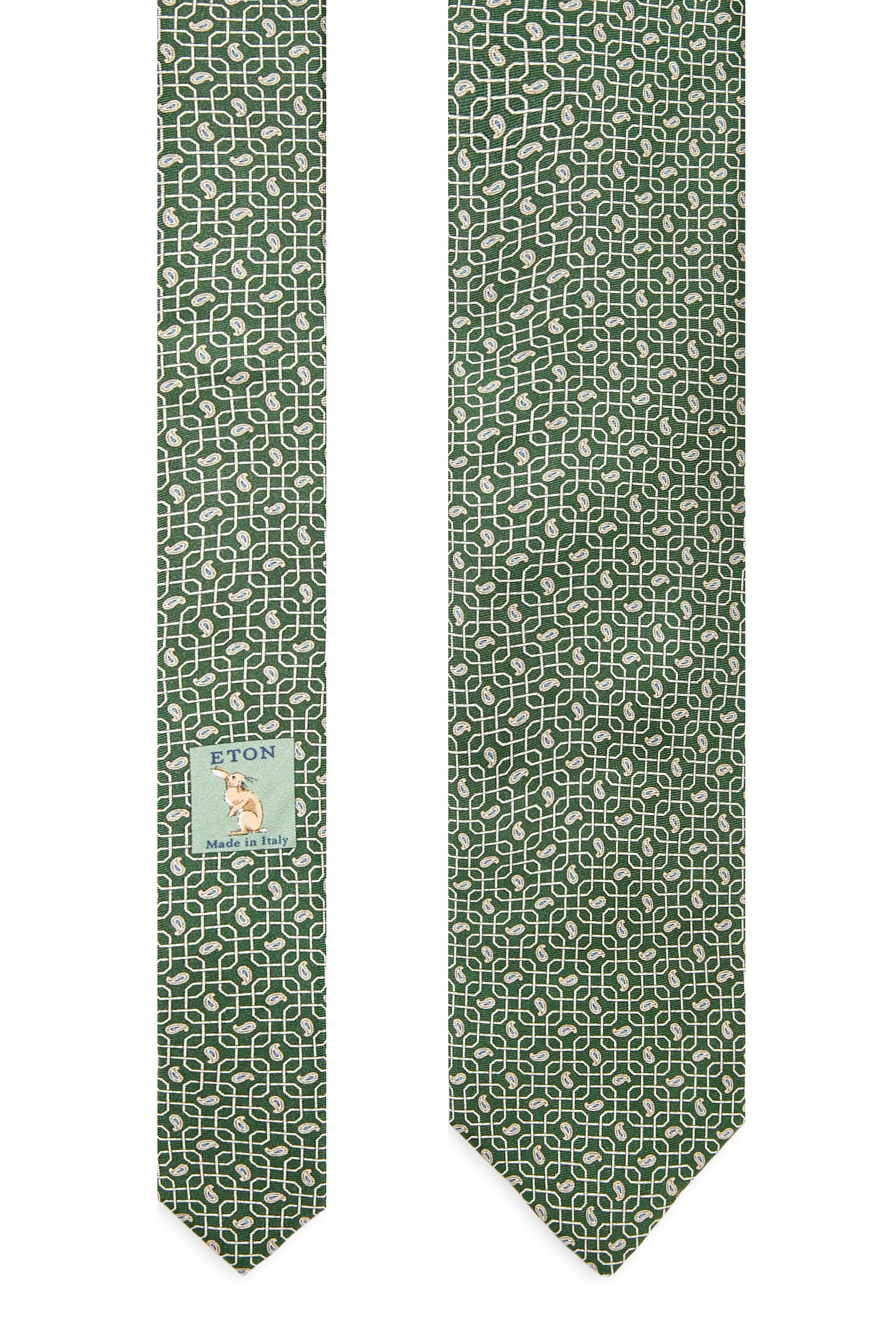 Paisley Print Silk Tie