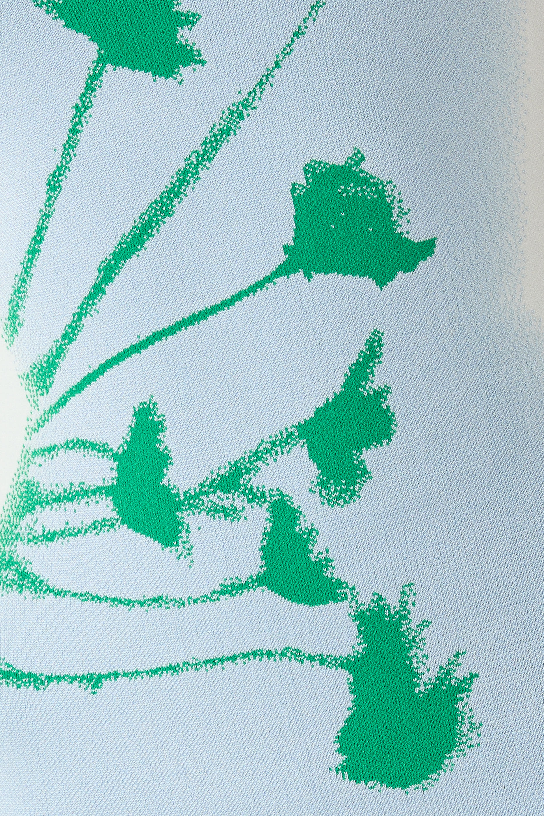 Iris Flower Print Maxi Tank Dress 