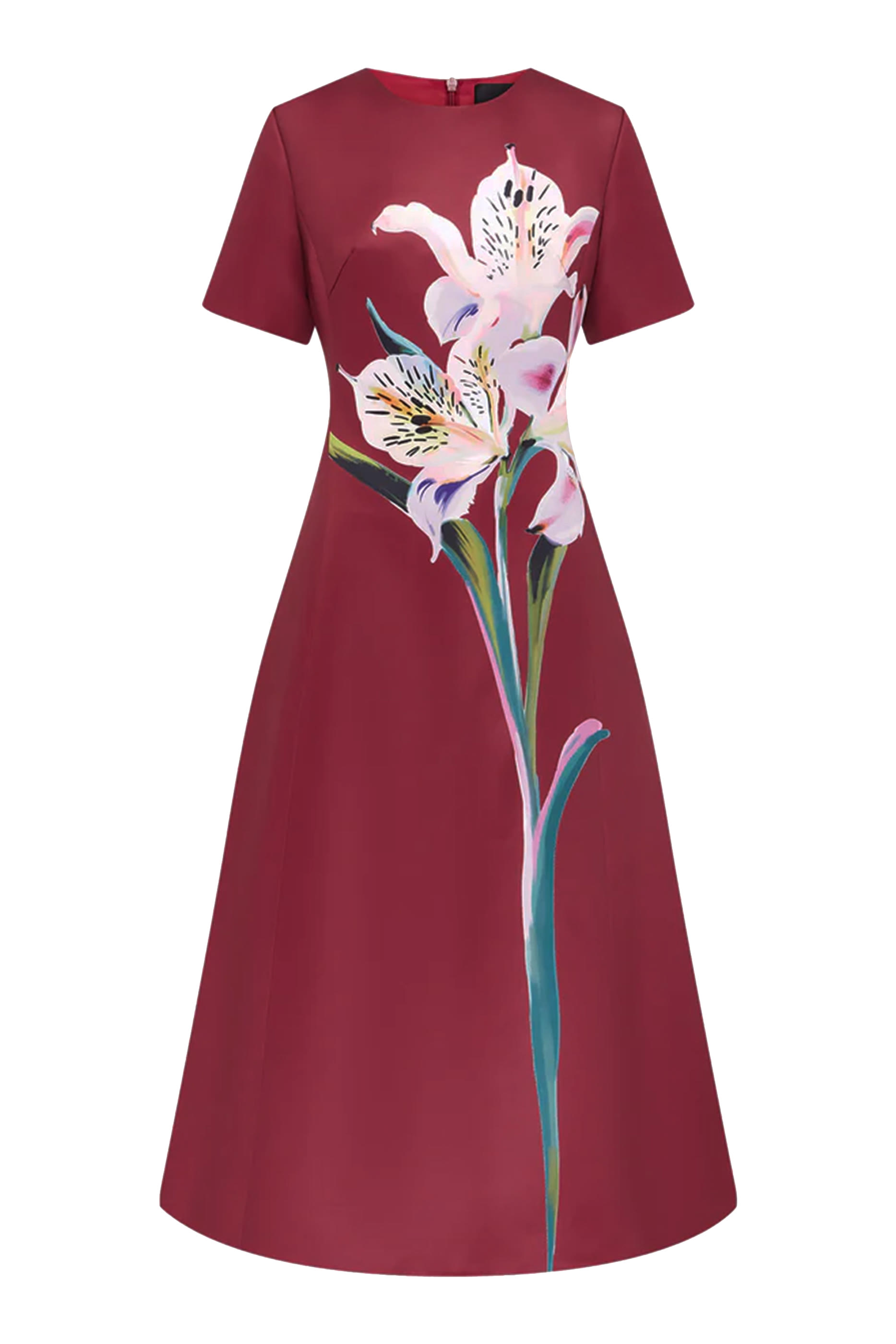 Caroline Short Sleeve Midi Dress - Lily Print in Burgundy