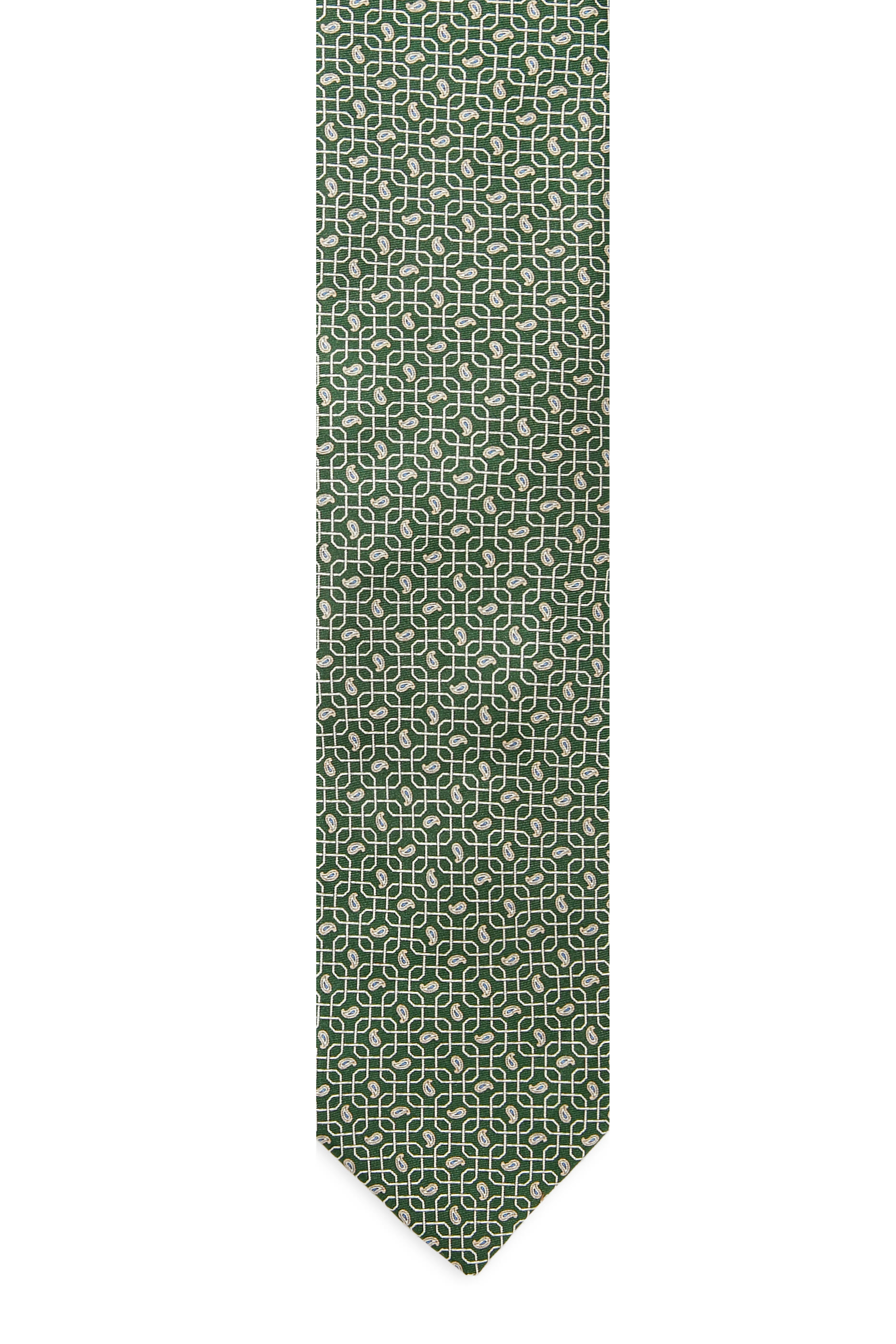 Paisley Print Silk Tie