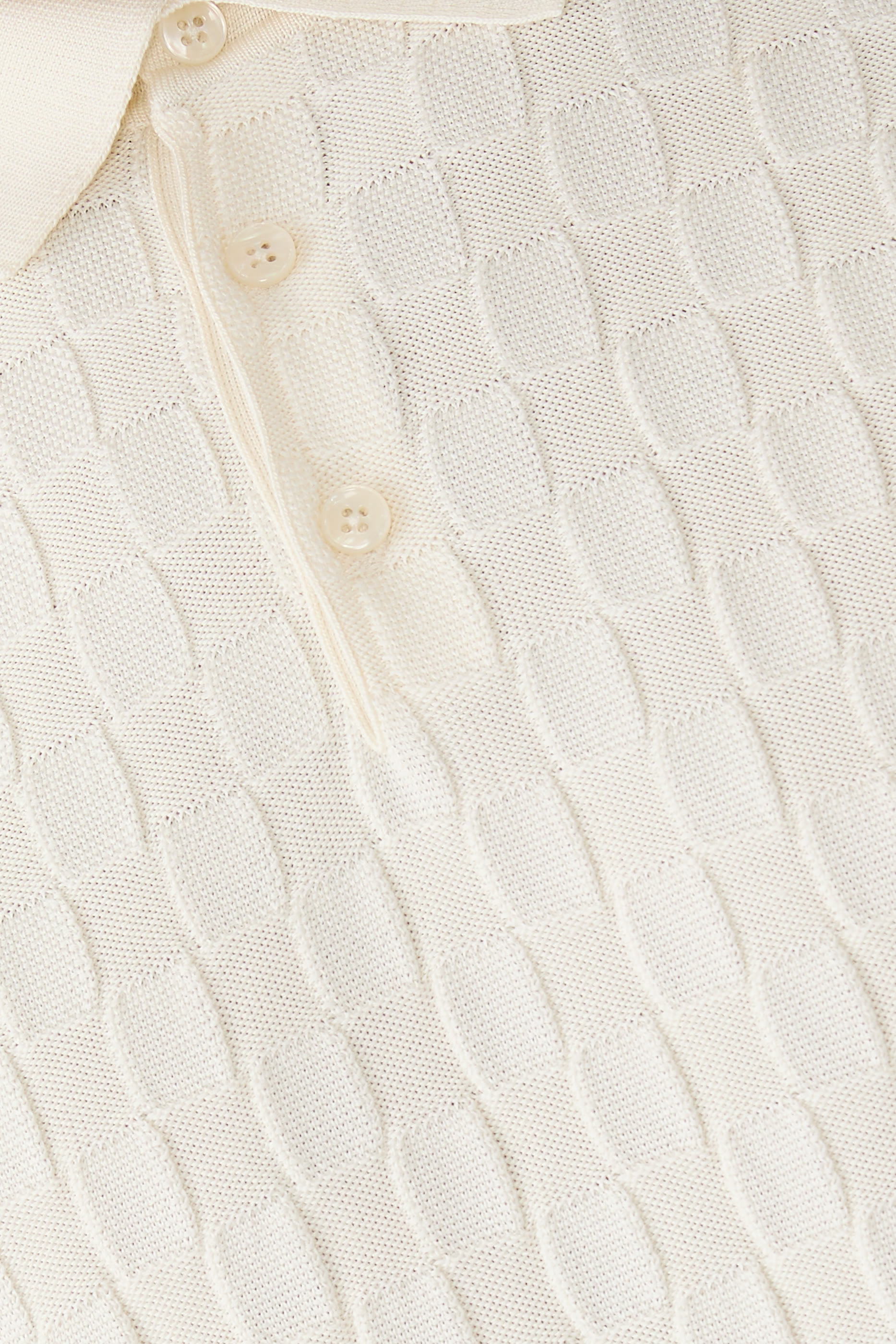 Microdot Silk Polo Shirt