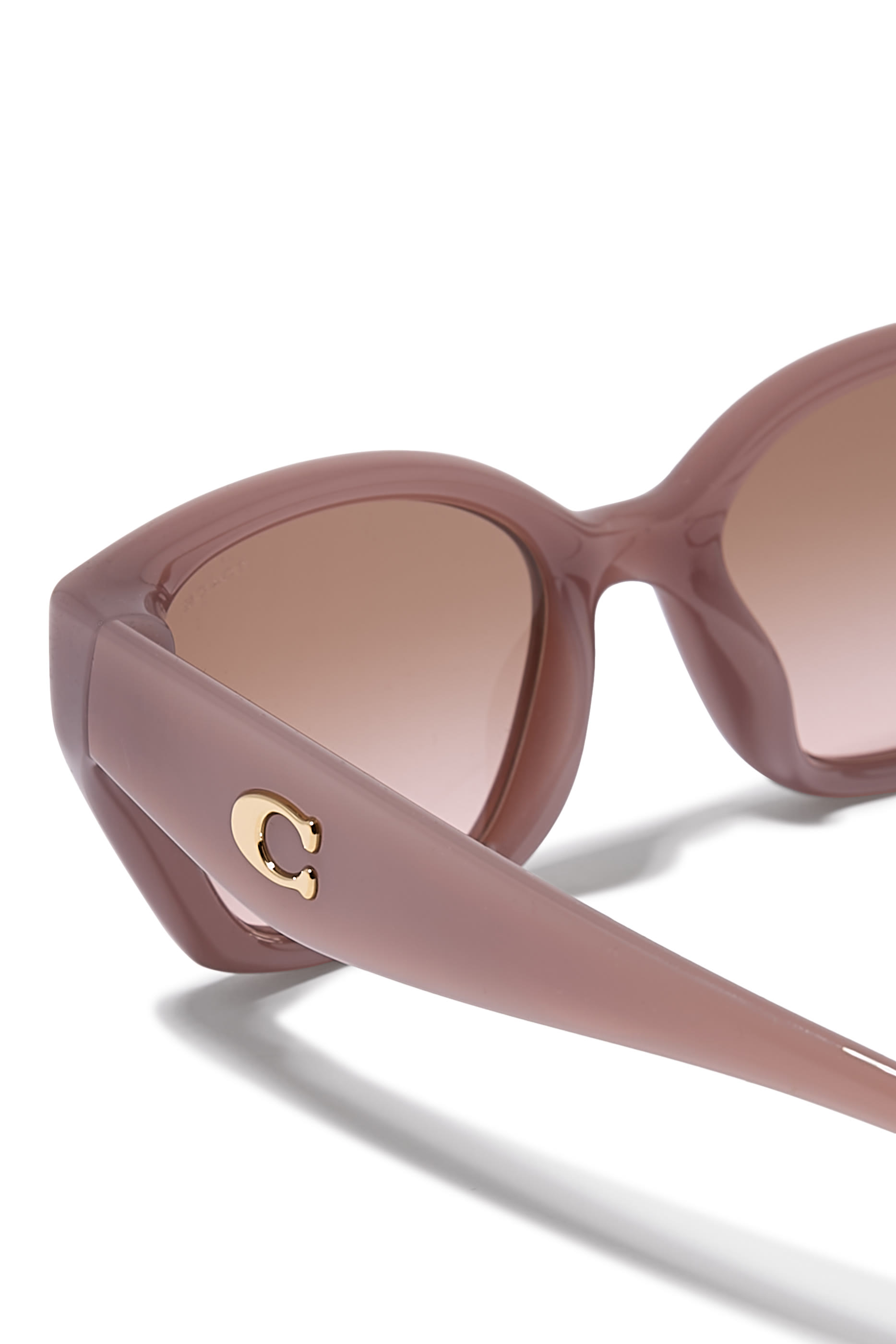 Irreg Frame Sculpted C Logo Temple Sunglasses