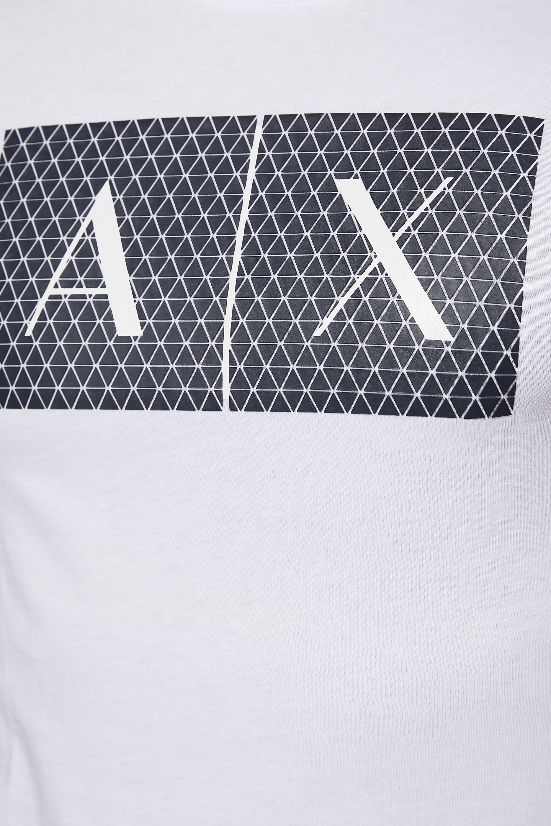 Triangulation Logo Print T-Shirt