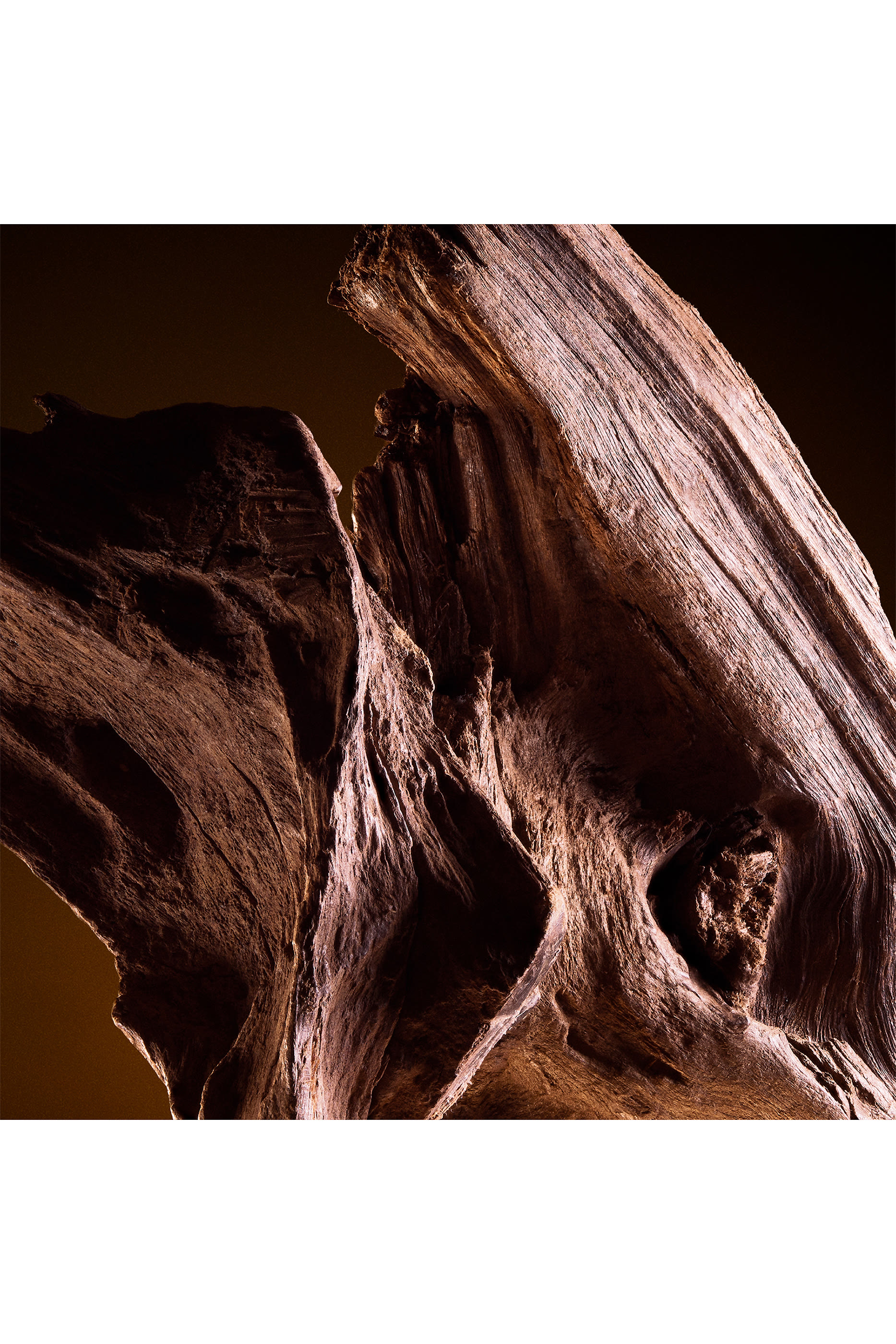 The One Pour Homme Eau de Toilette