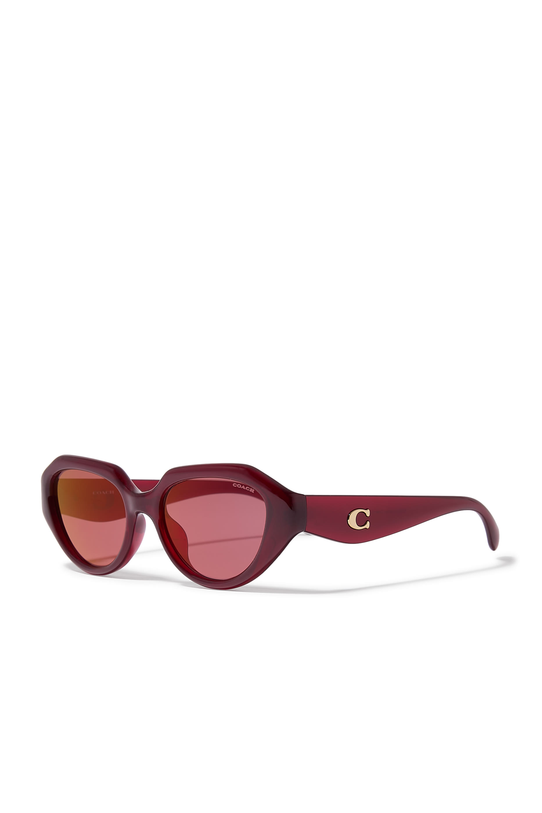 Irreg Frame Sculpted C Logo Temple Sunglasses