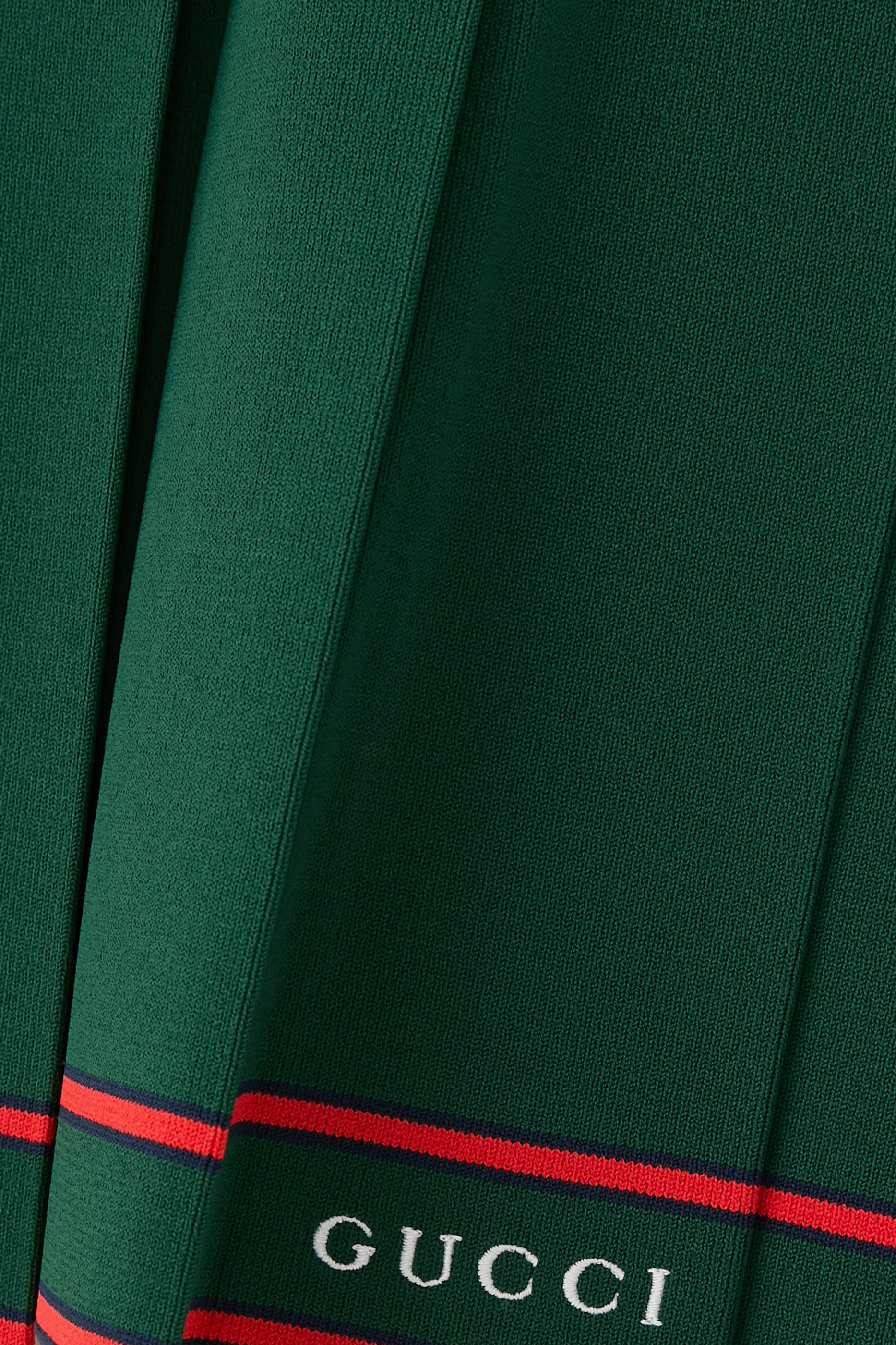 Pleated Skirt with Striped Trim 