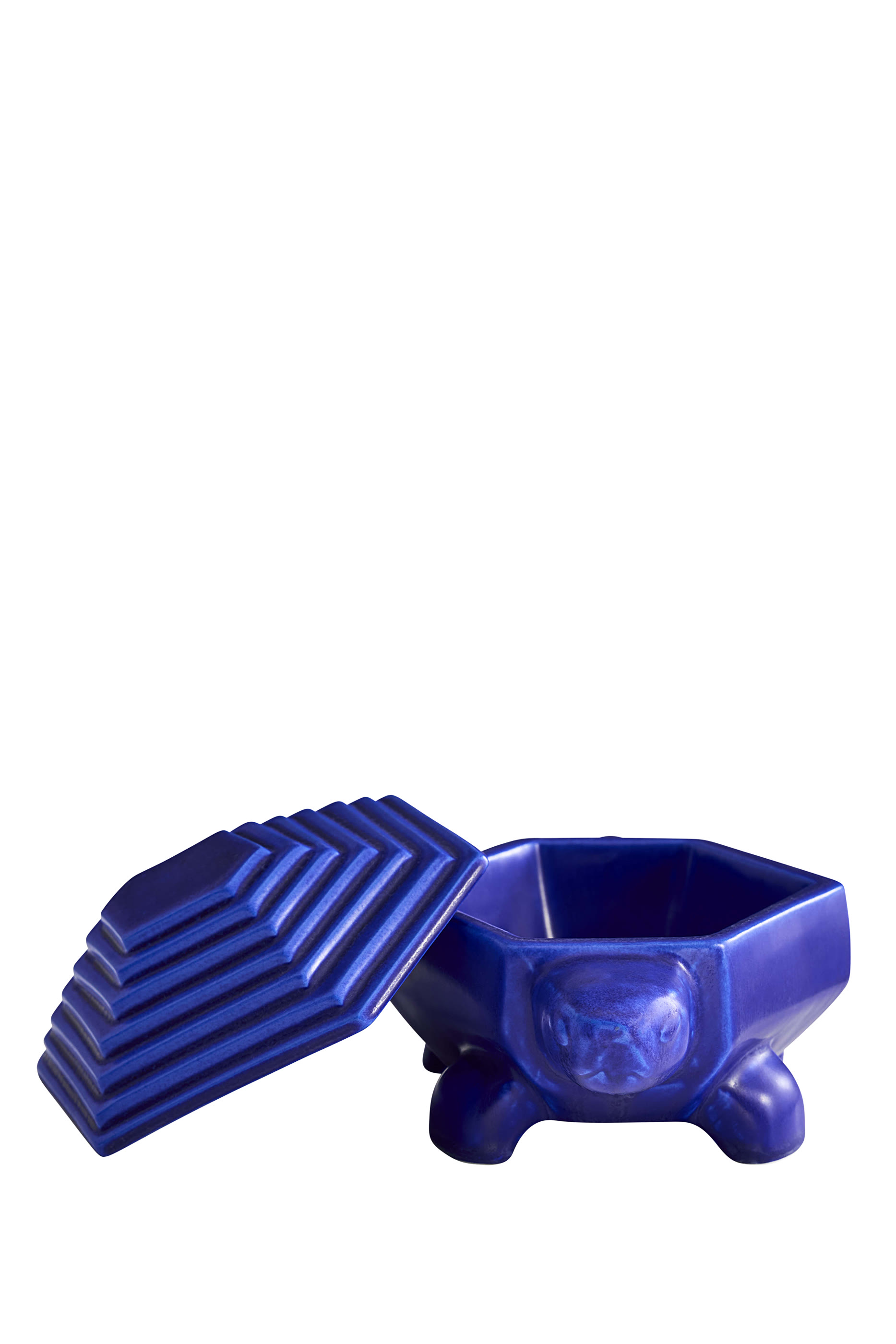 Cobalt Turtle Box
