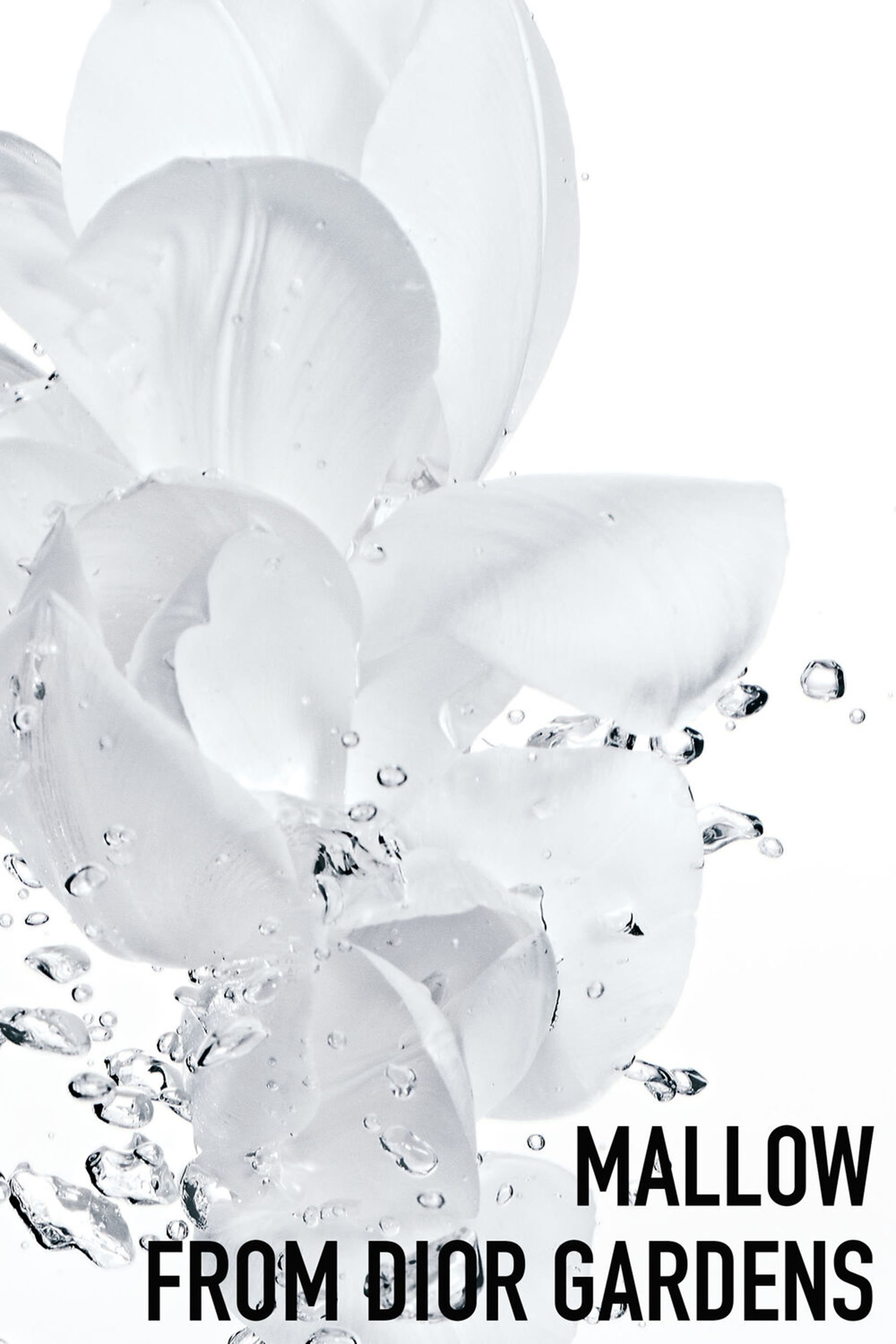 Hydra Life Intense Sorbet Cream