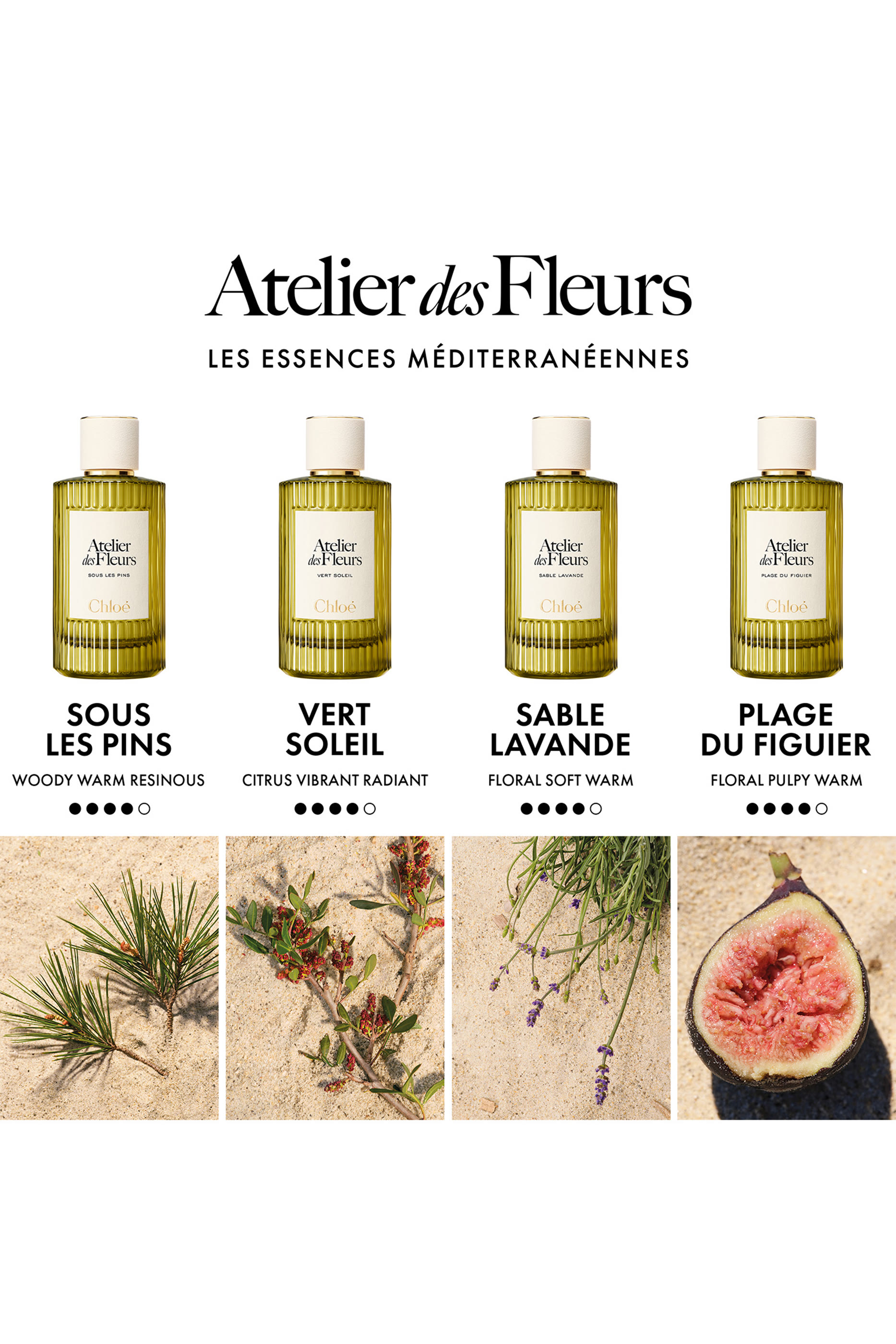 Atelier des Fleurs Vert Soleil Eau de Parfum