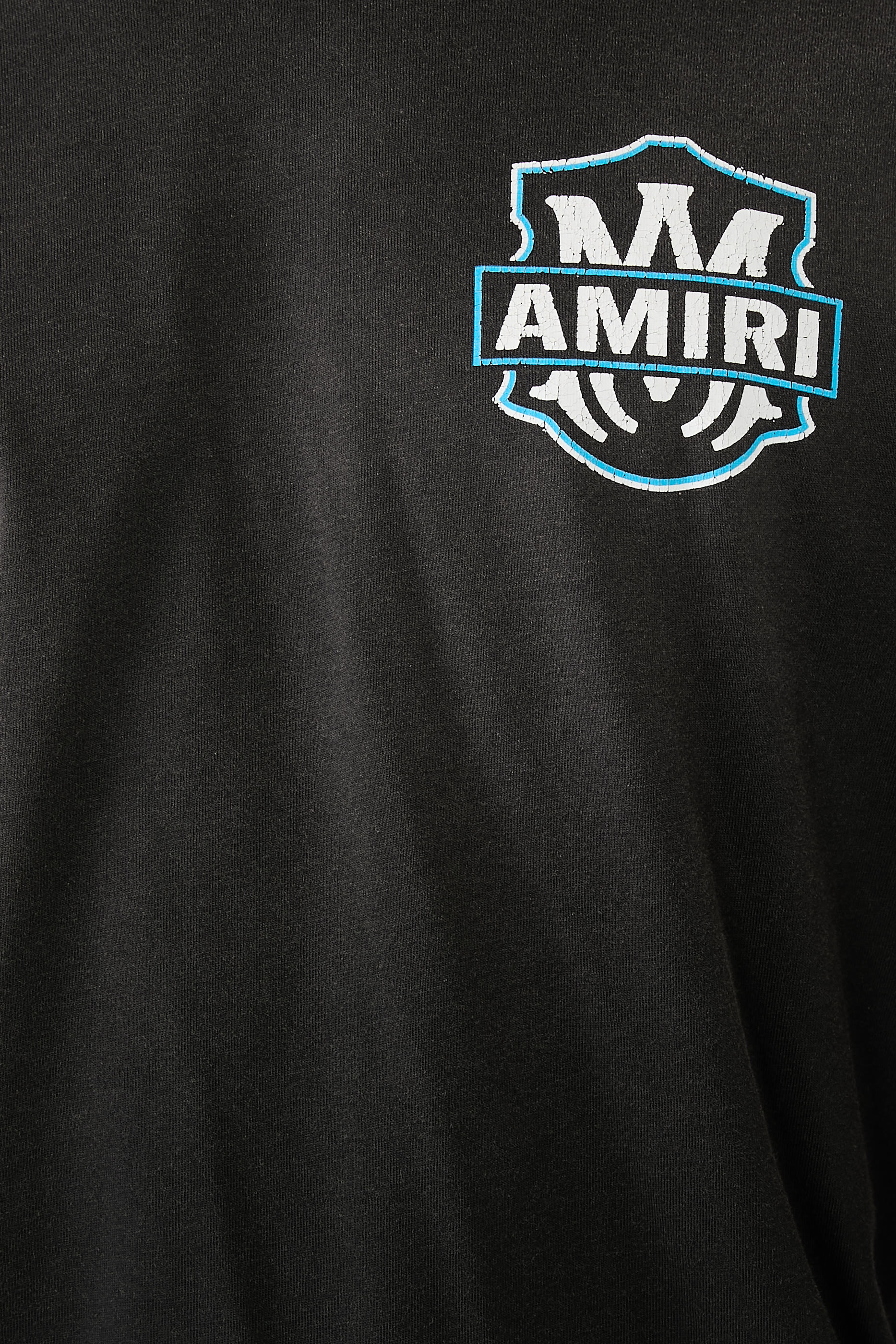 Eagle Flames Graphic T-Shirt