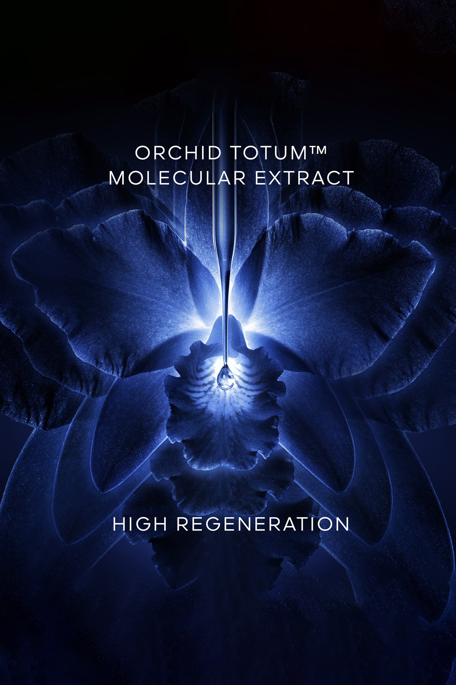 Orchid&eacute;e Imp&eacute;riale The Light Cream