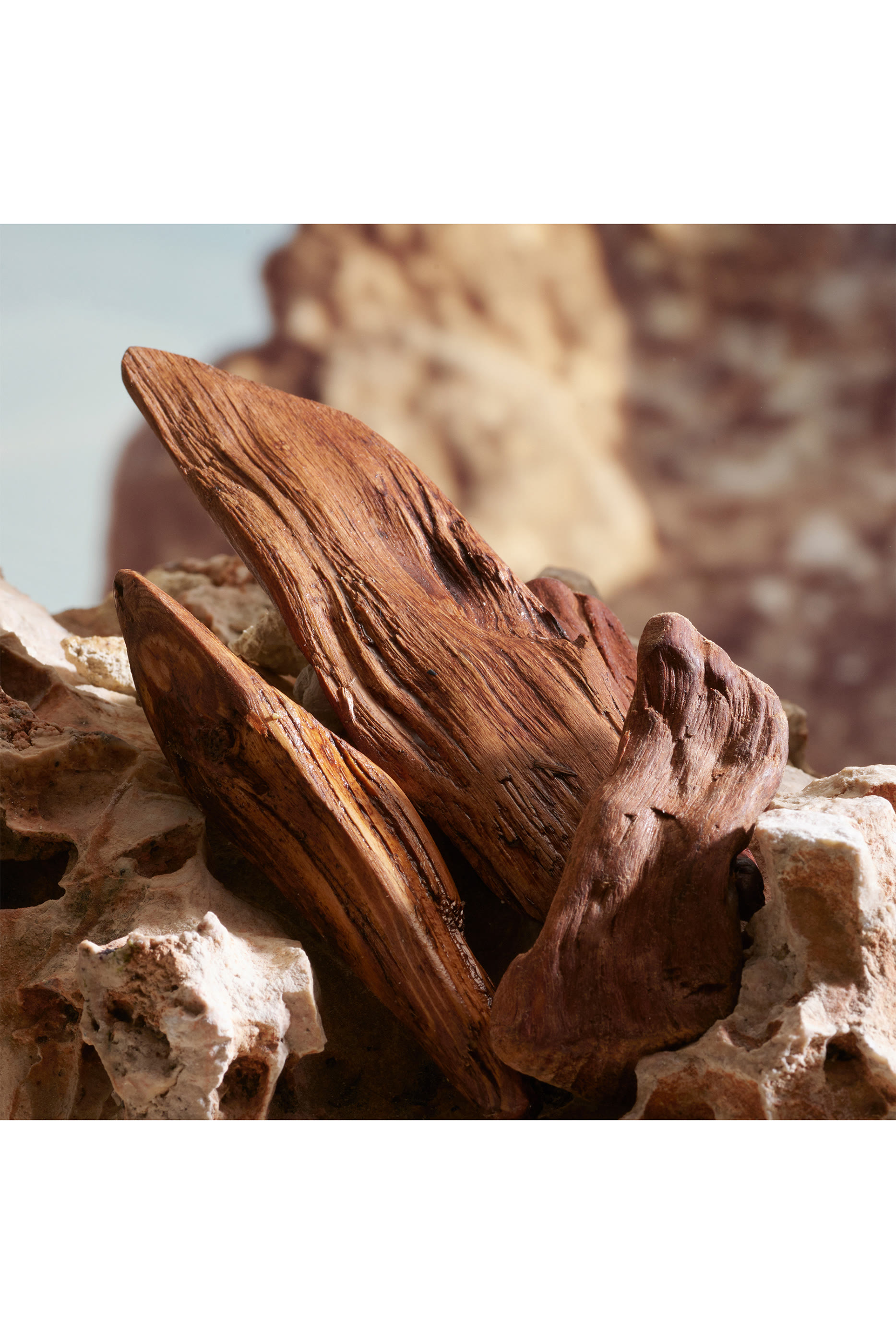 K by Dolce & Gabbana Parfum