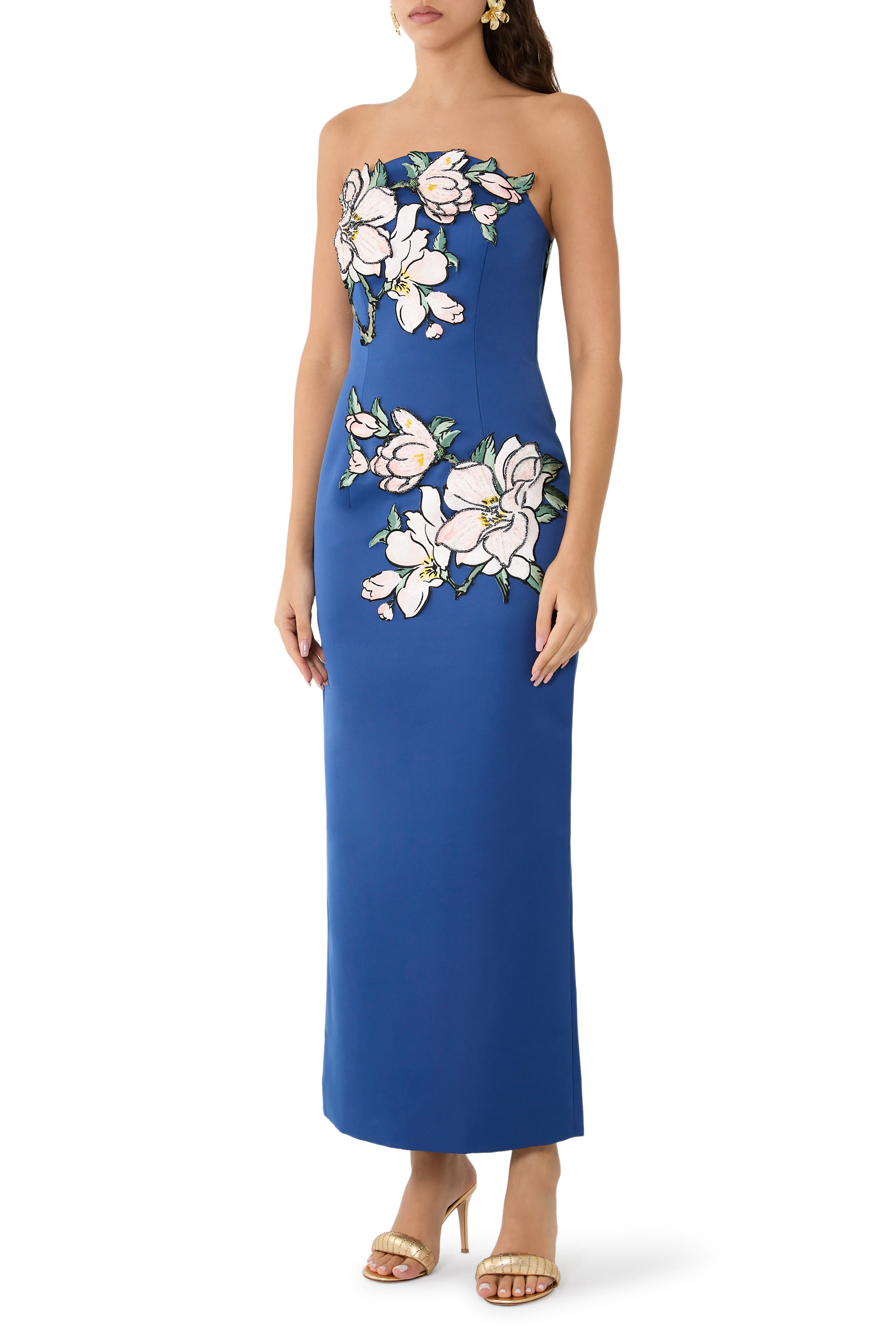 Ava Appliqu&eacute; Floral Bustier Maxi Dress