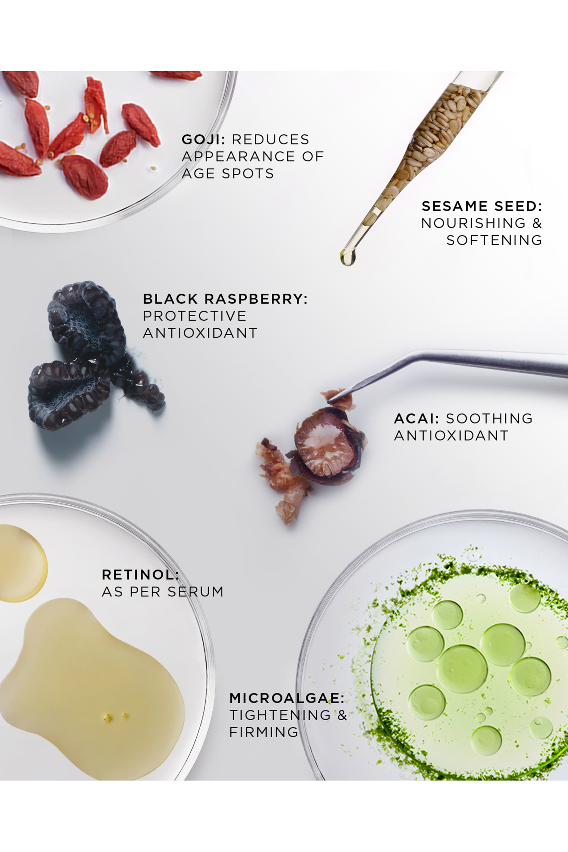 The Absolute Active Replenishing Moisturizer Refill