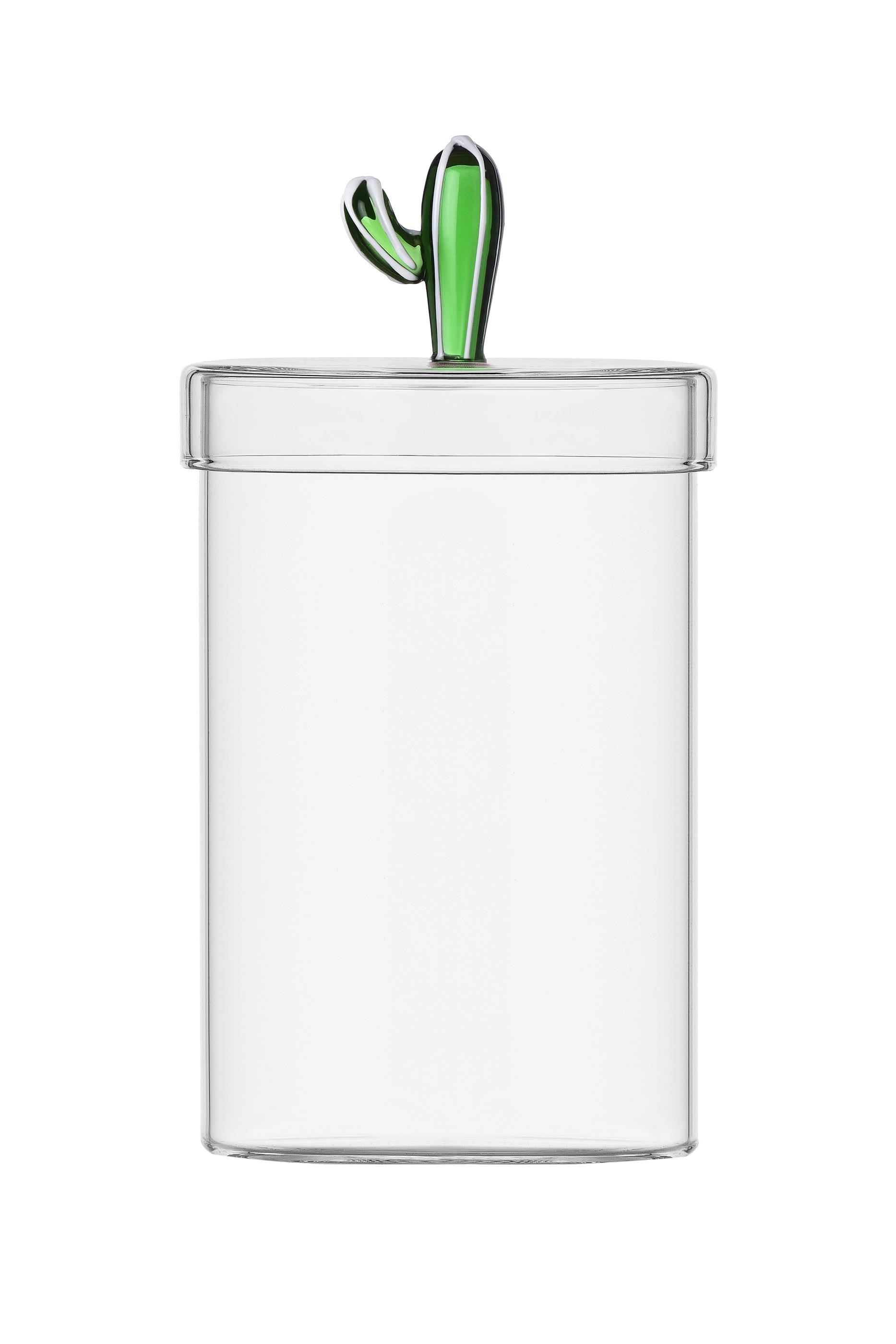 Desert Plants Green Cactus Box