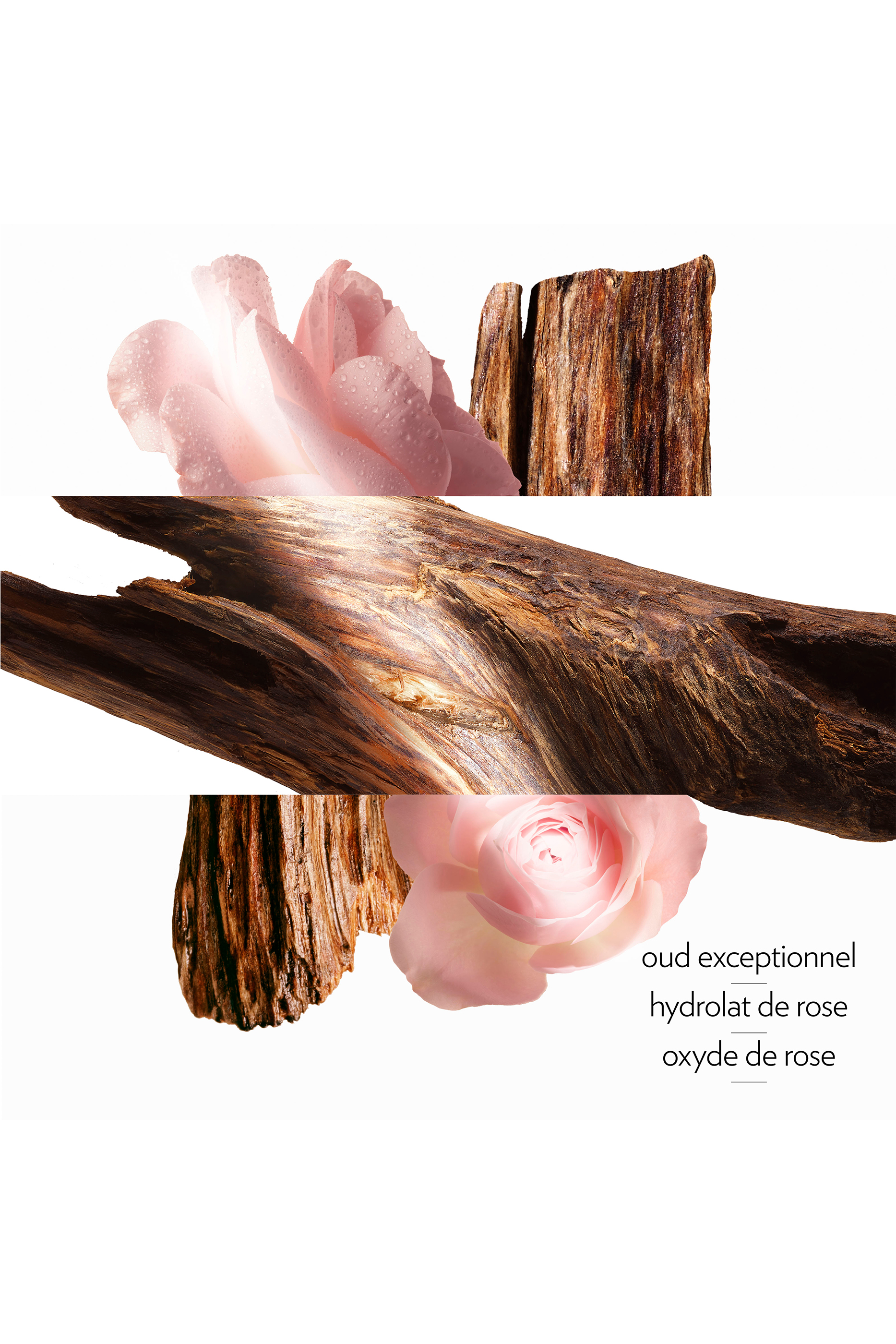 Oud Alezan Eau De Parfum Refill