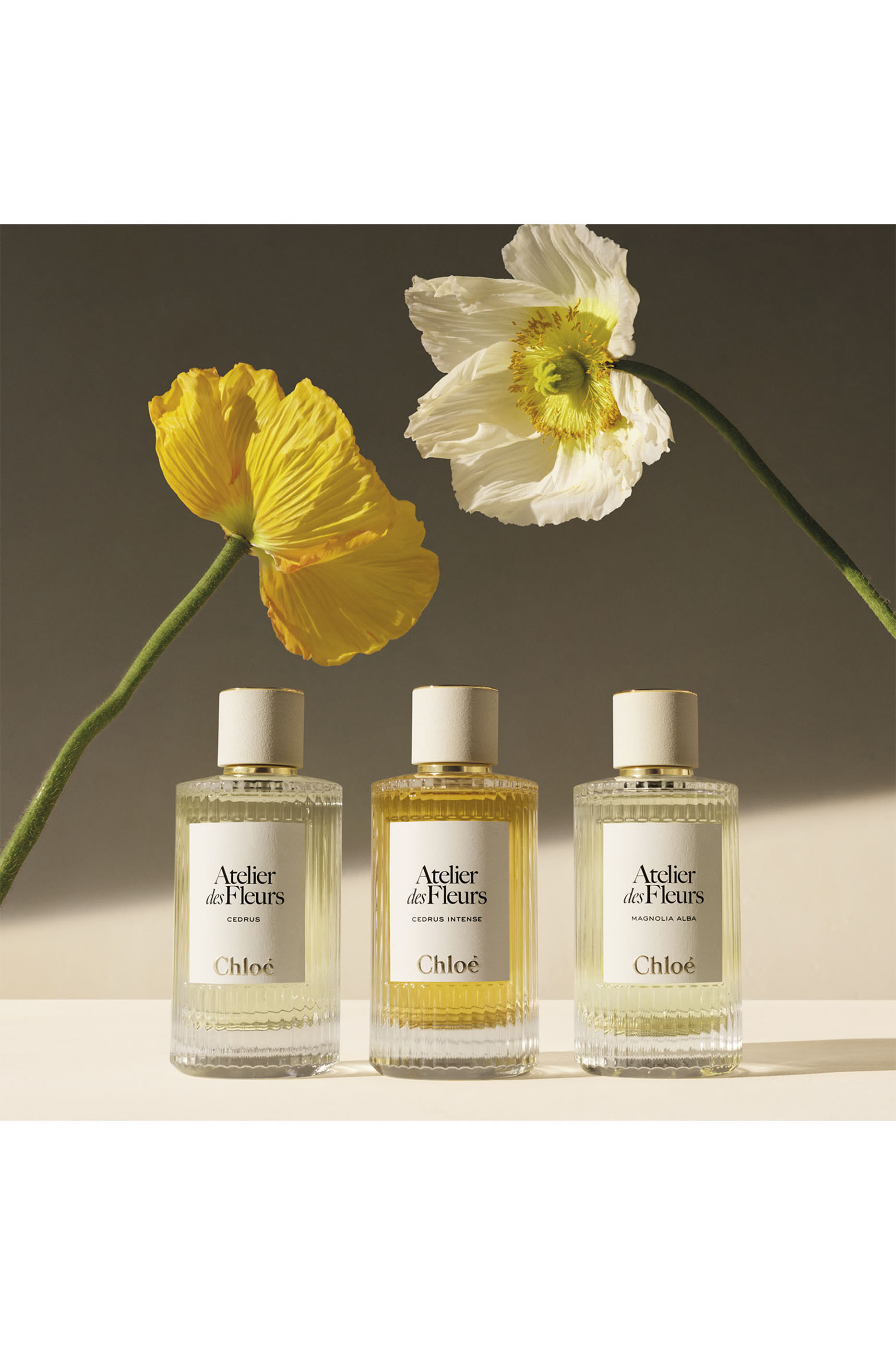 Atelier des Fleurs Immortelle Eau de Parfum