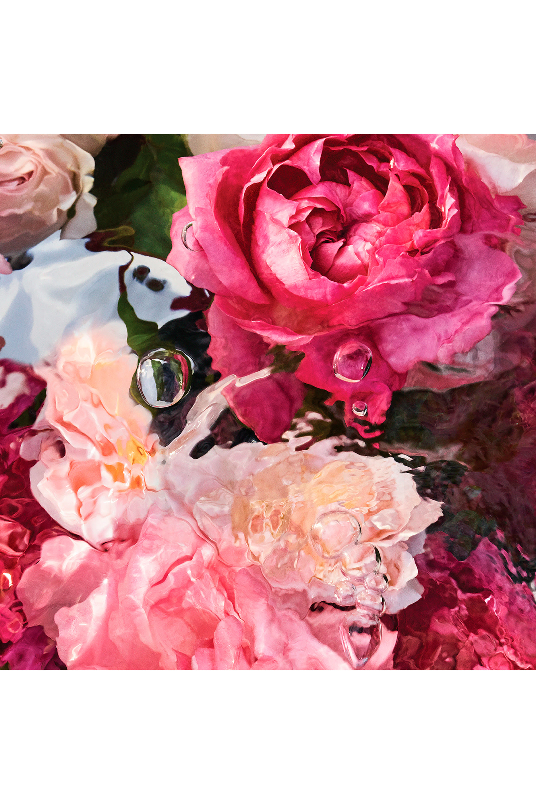 Rosa Rossa Eau de Toilette