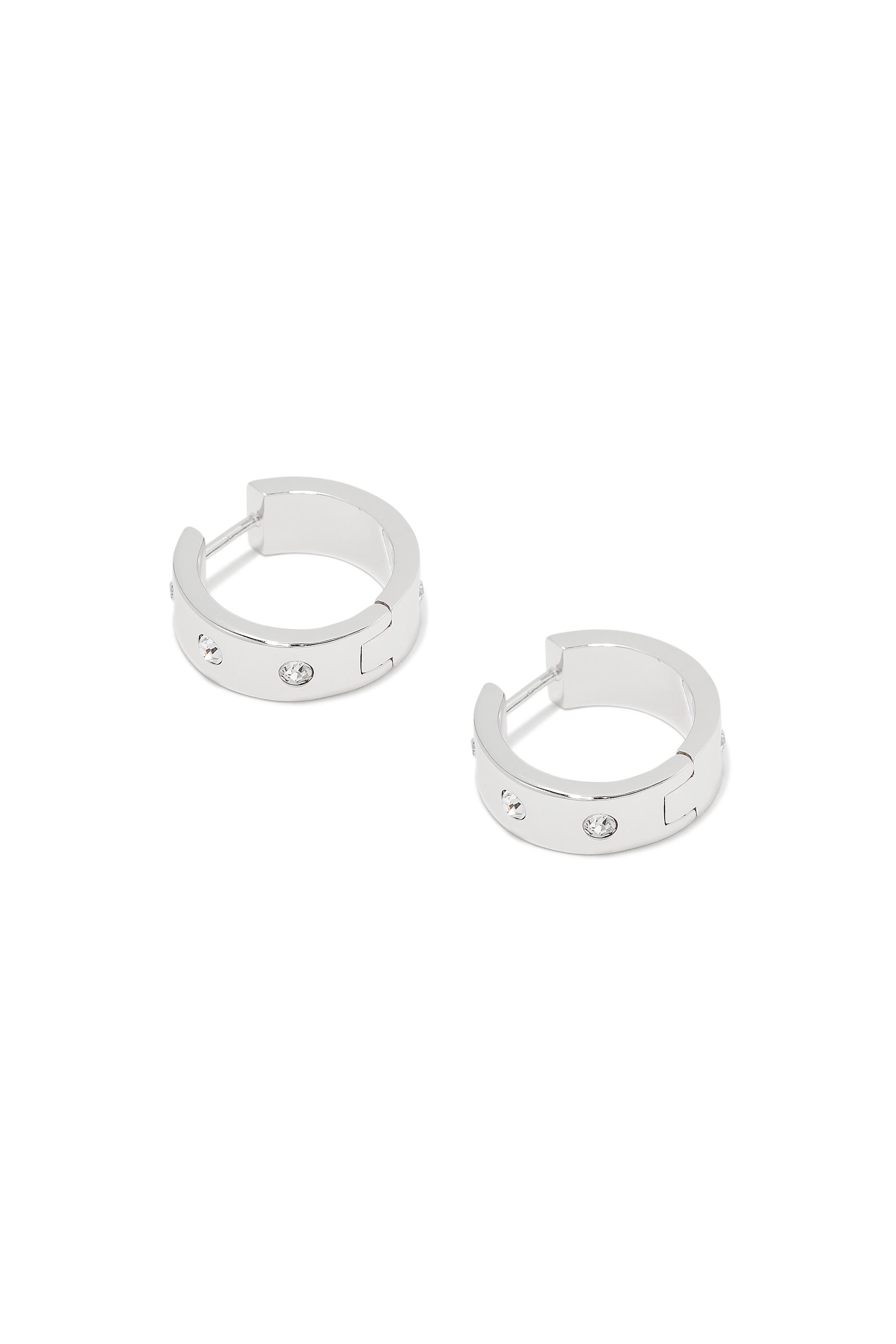 Eagle Hoop Metal Earrings