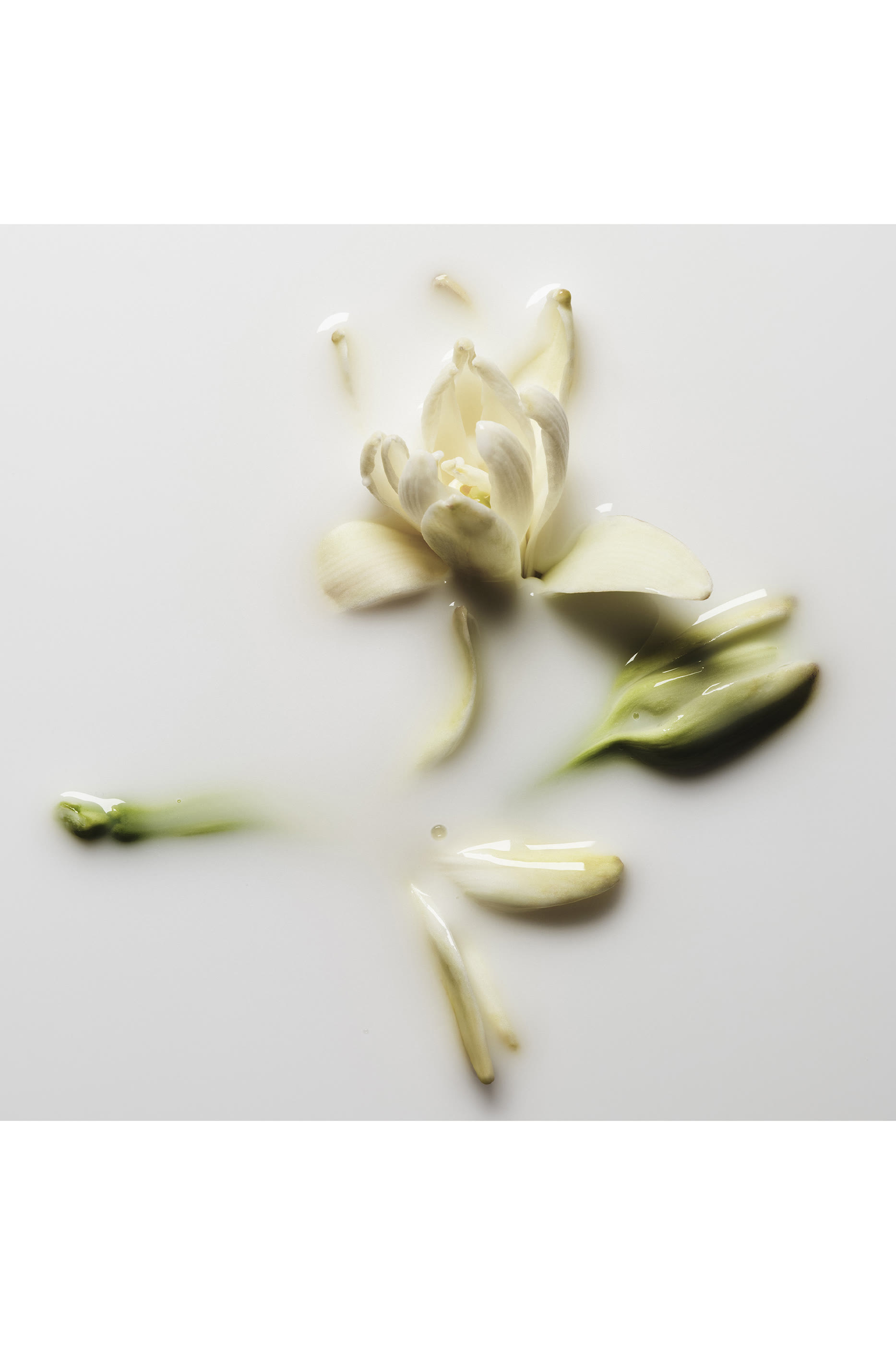 Good Girl Gone Bad Body Lotion &ndash; Refillable