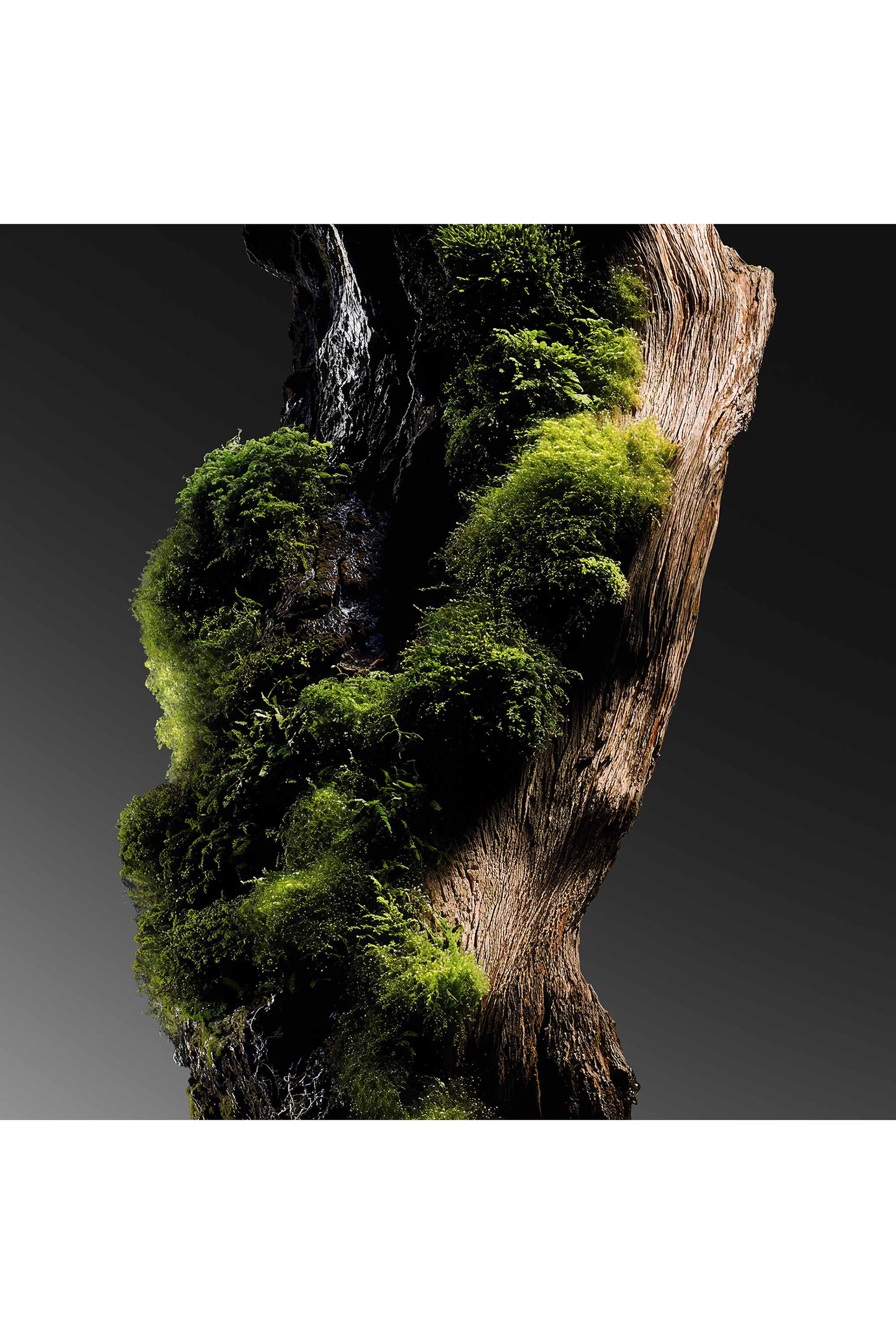 Her Majesty Eau de Parfum Refill