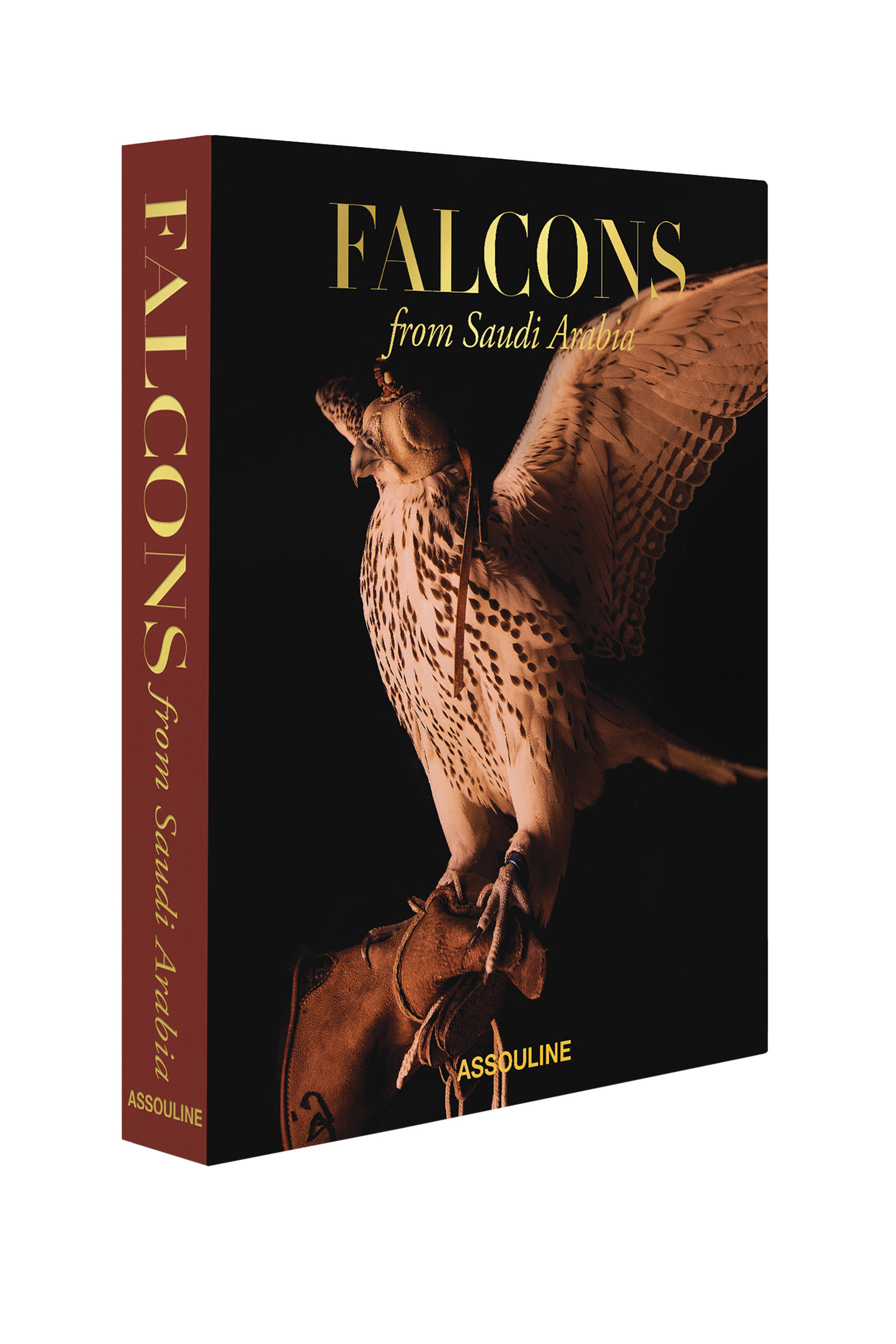 Falcons From Saudi Arabia