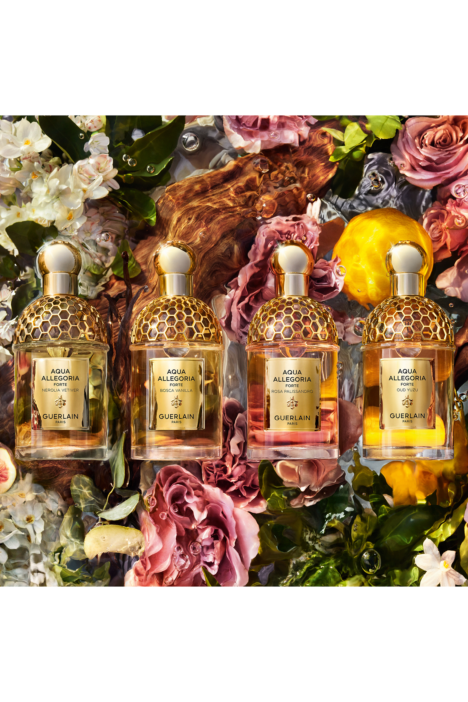 Aqua Allegoria Forte Rosa Palissandro Eau de Parfum