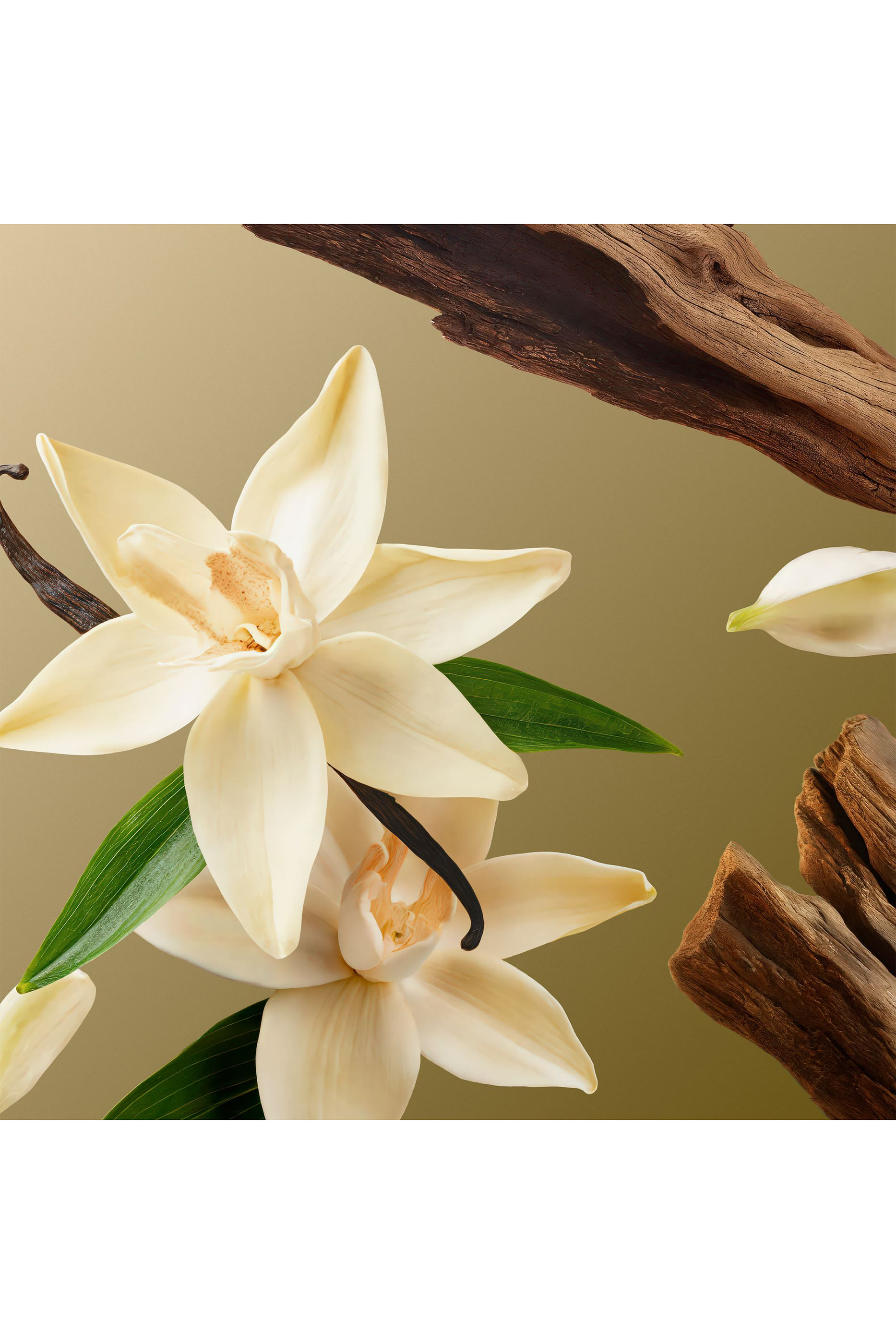 Intuitia Large Gift Set - Limited Edition