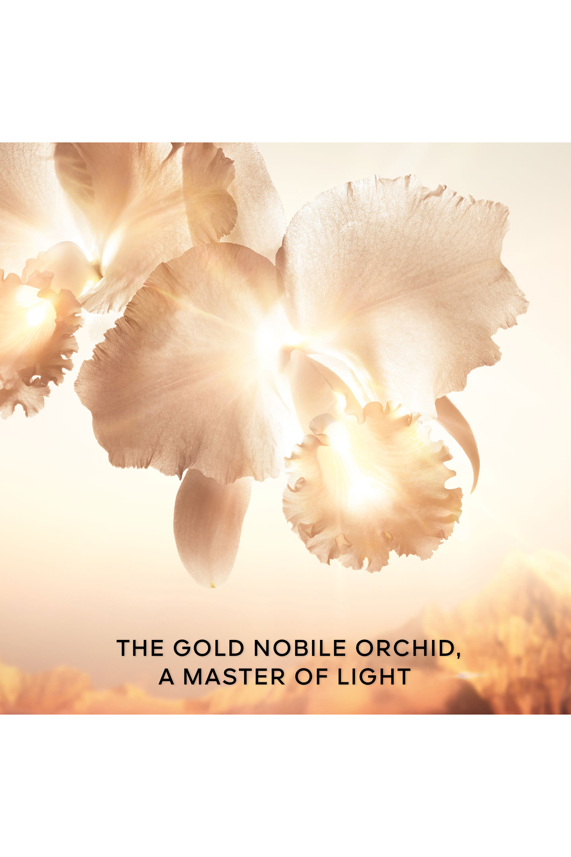 Orchid&eacute;e Imp&eacute;riale Gold Nobile The Goldessence Lotion 