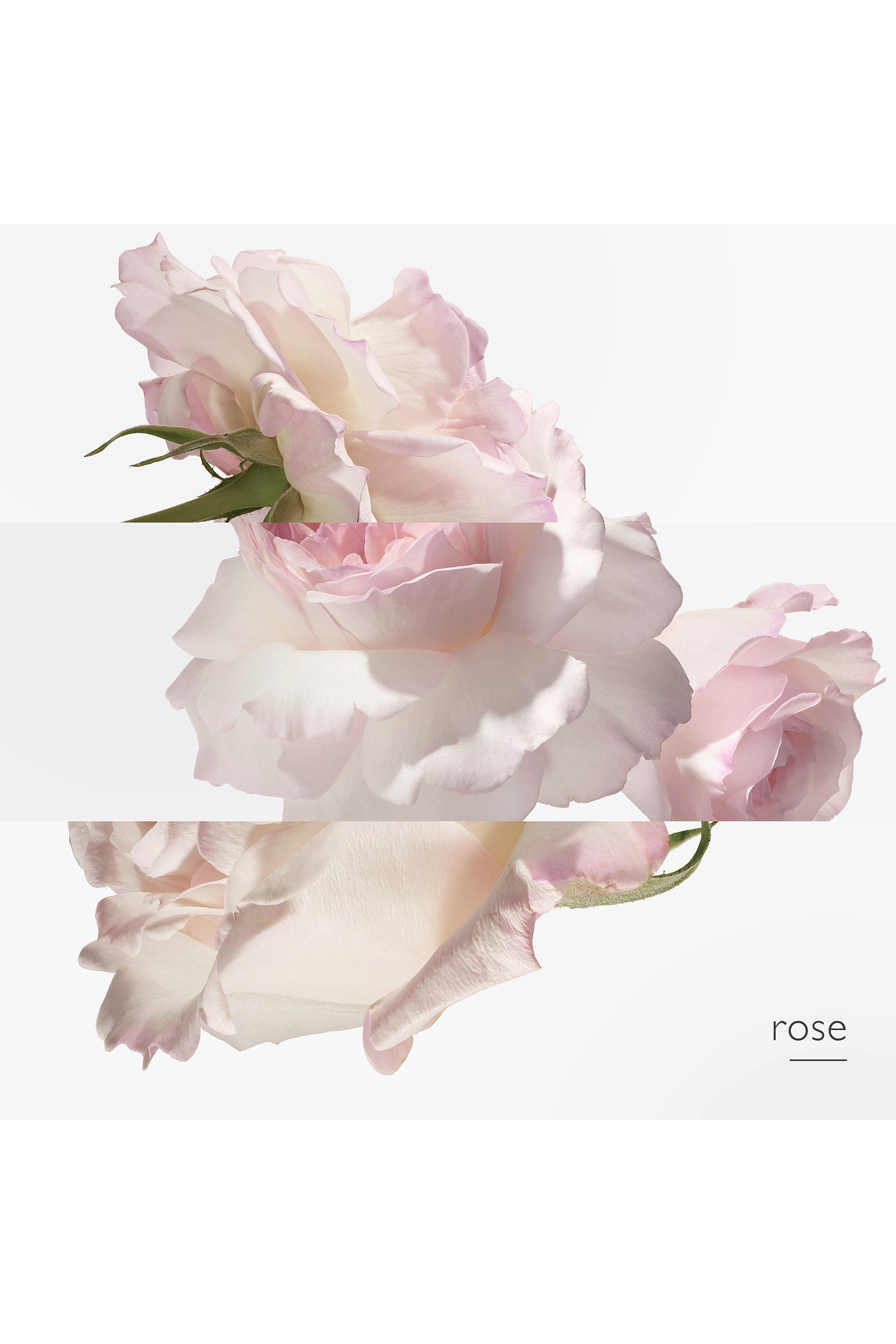 Twilly Eau Poivr&eacute;e, Eau de Parfum